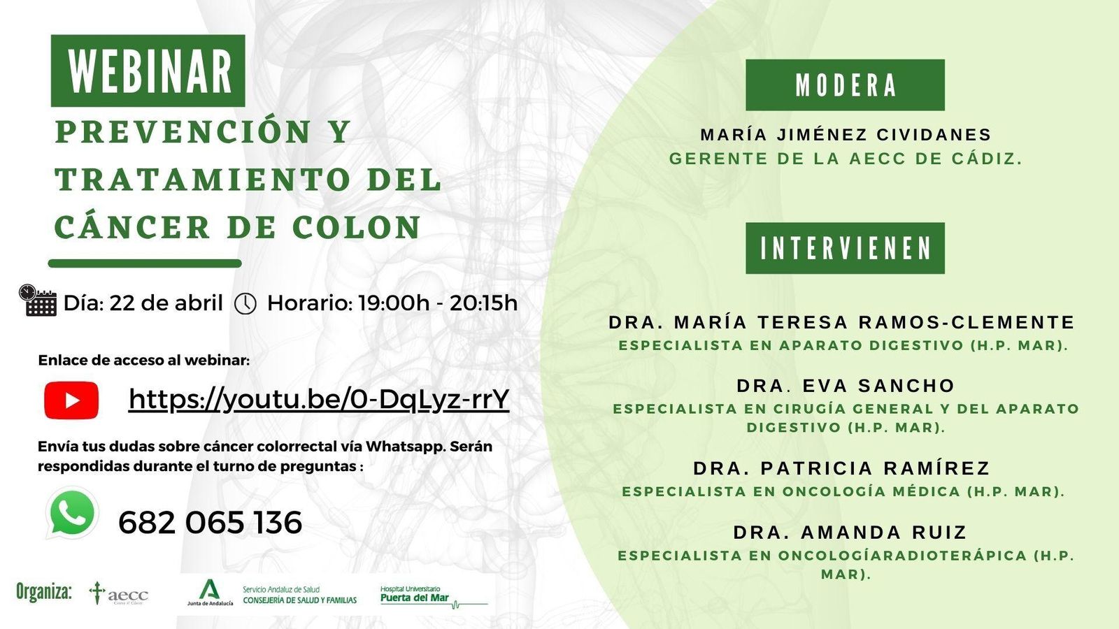 Cartel del seminario web organizado por la AECC Cádiz y el Hospital Puerta del Mar.