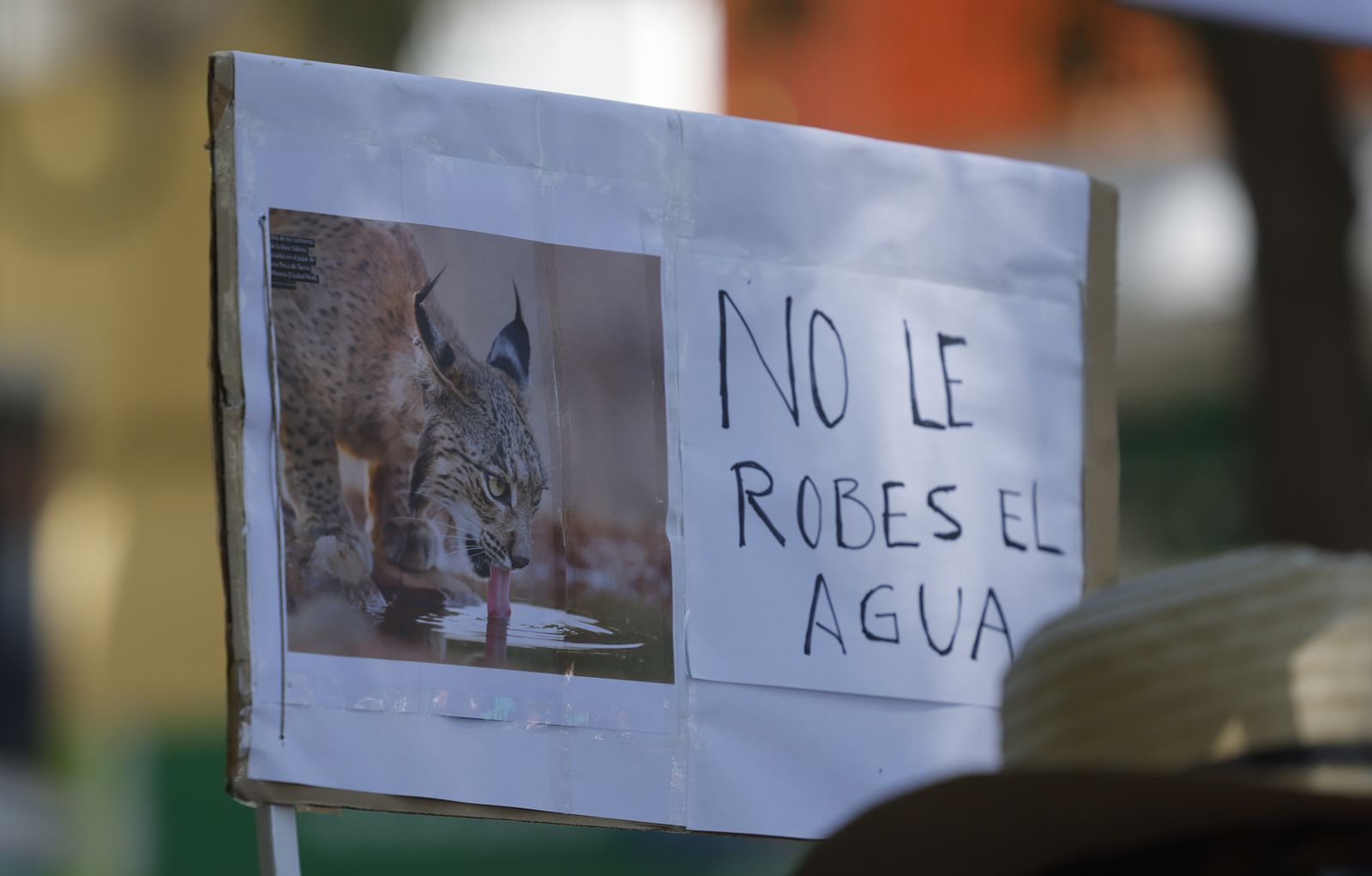 Las fotos de la manifestación en defensa de Doñana