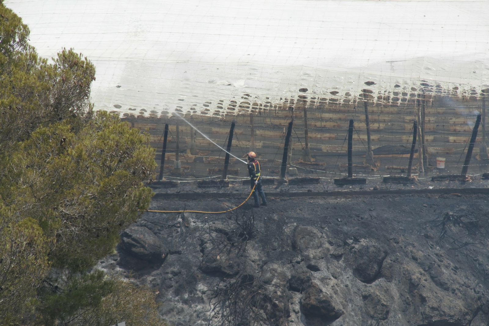 Las imágenes del incendio forestal en La Nacla de Motril