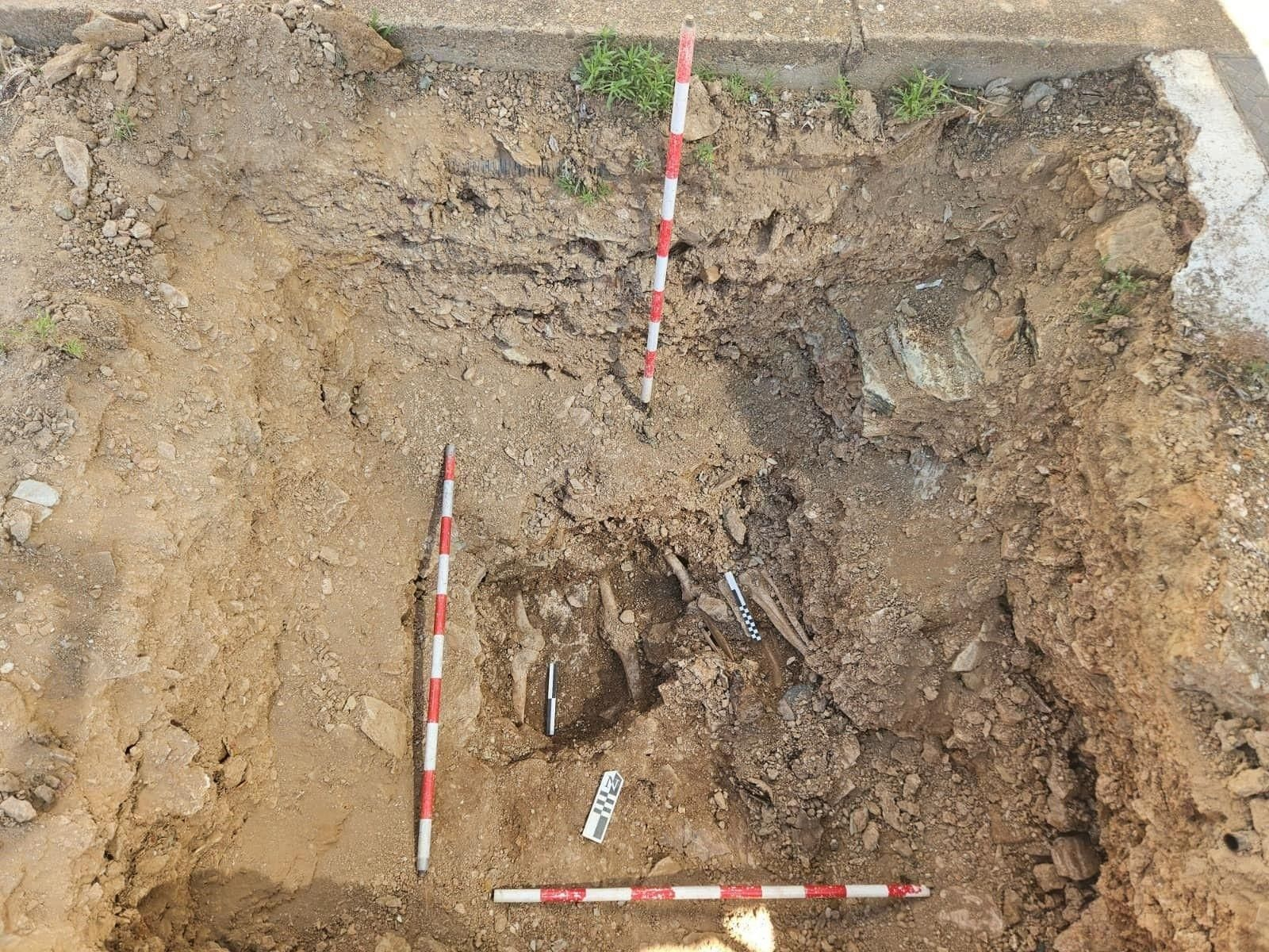 Parte de los restos hallados en la fosa común del cementerio de Valverde.