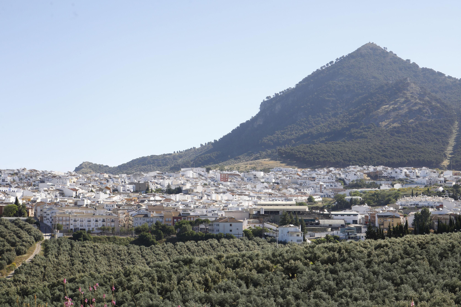 Panorámica de Rute.