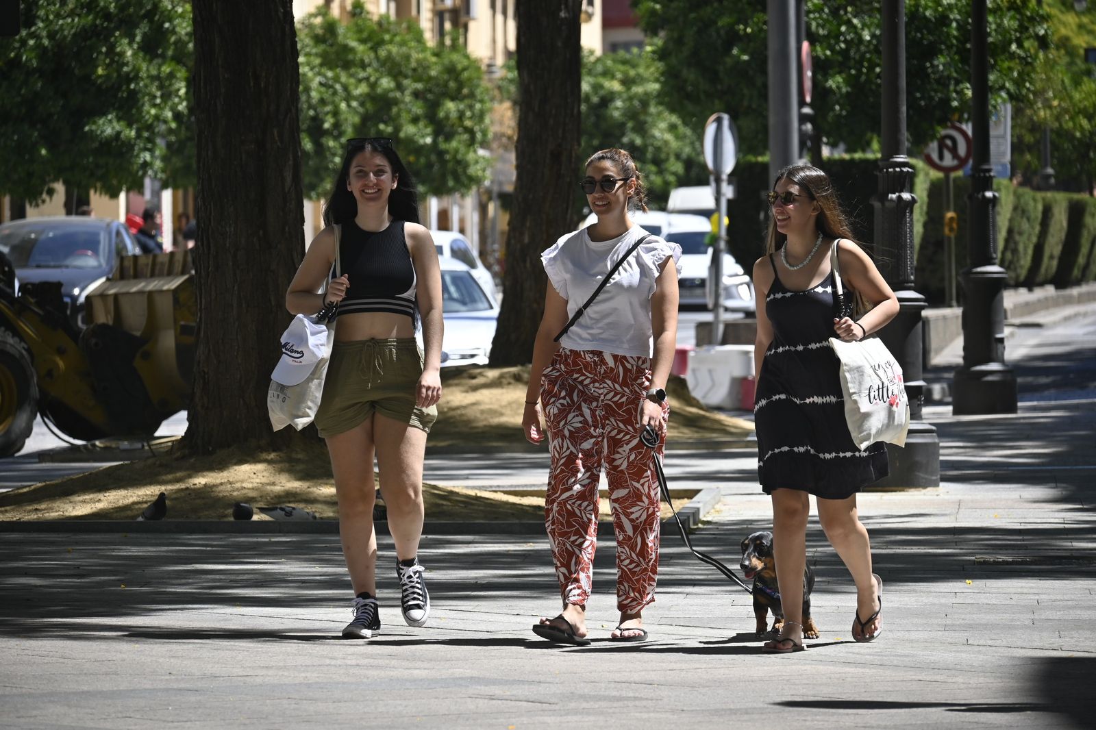 Imágenes del viernes 14 de julio, en Huelva