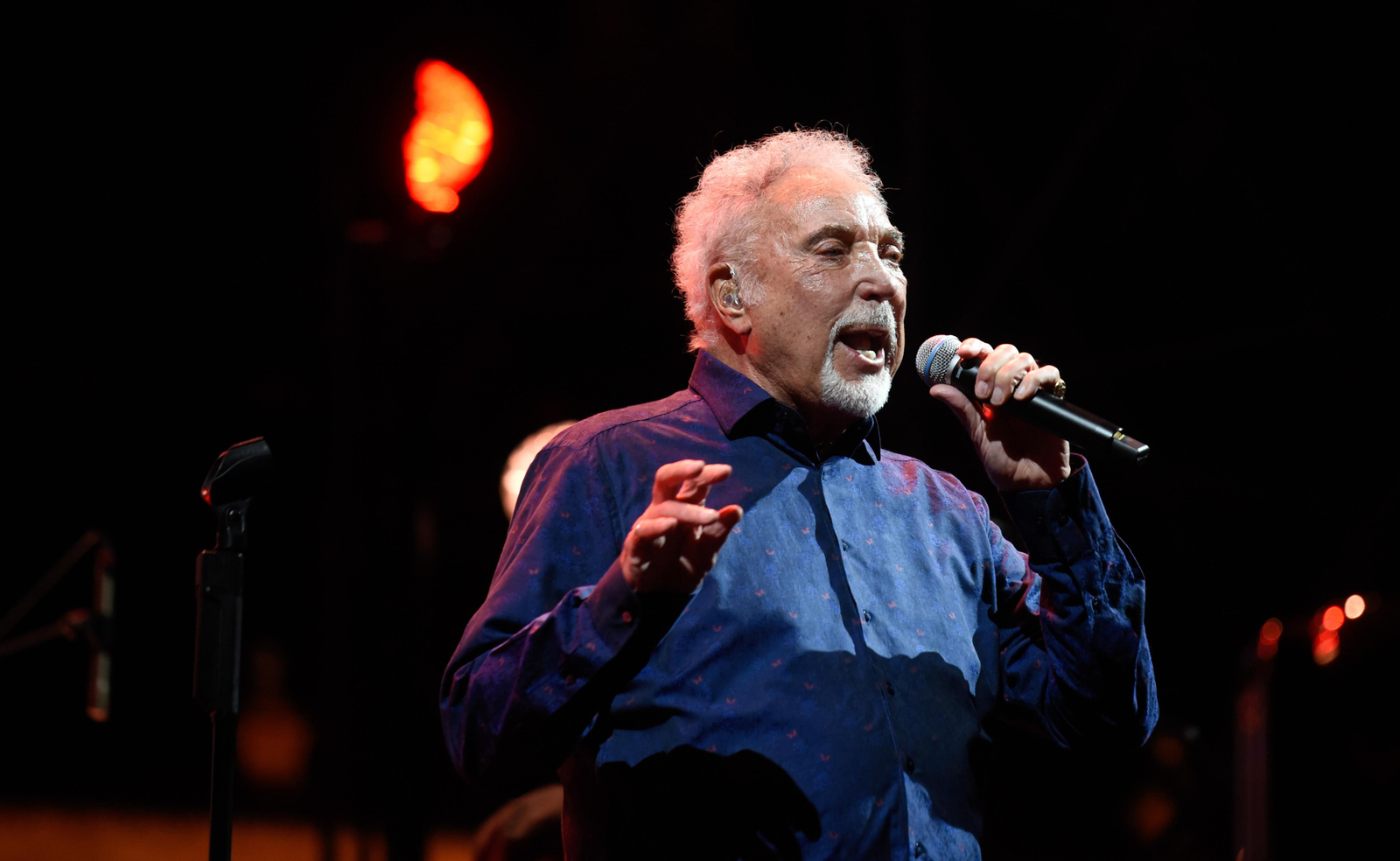 Concierto de Tom Jones