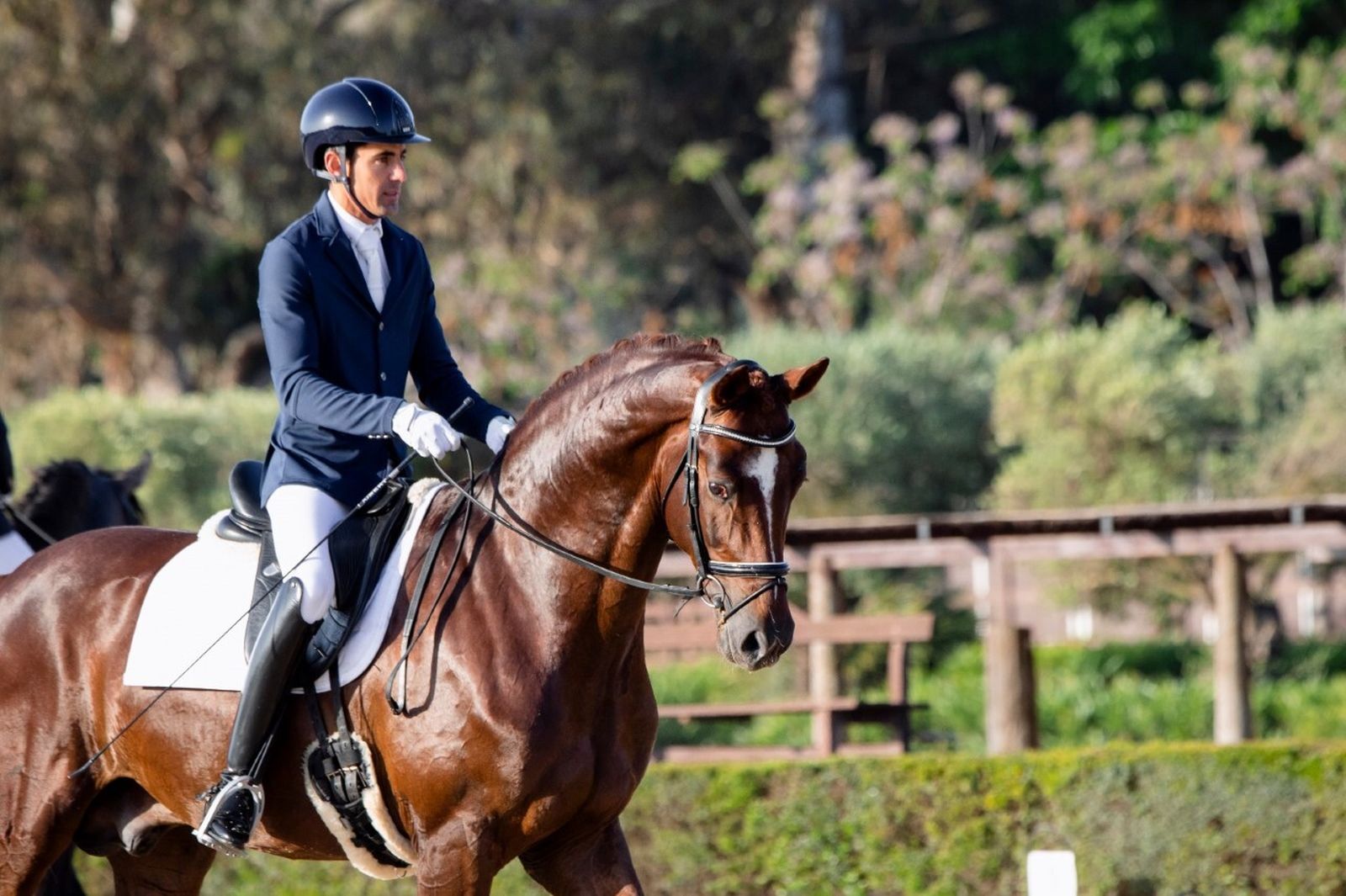 Javier Sastre, con 'Diamond Hit 2'