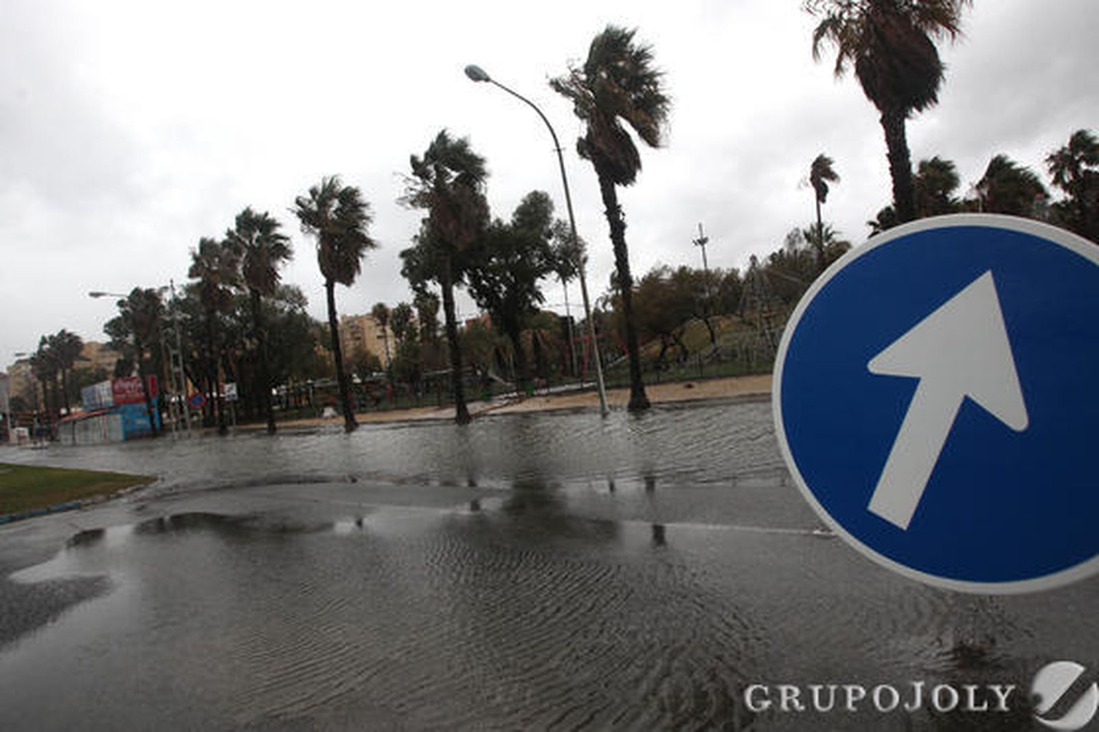 Foto: Andres Carrasco