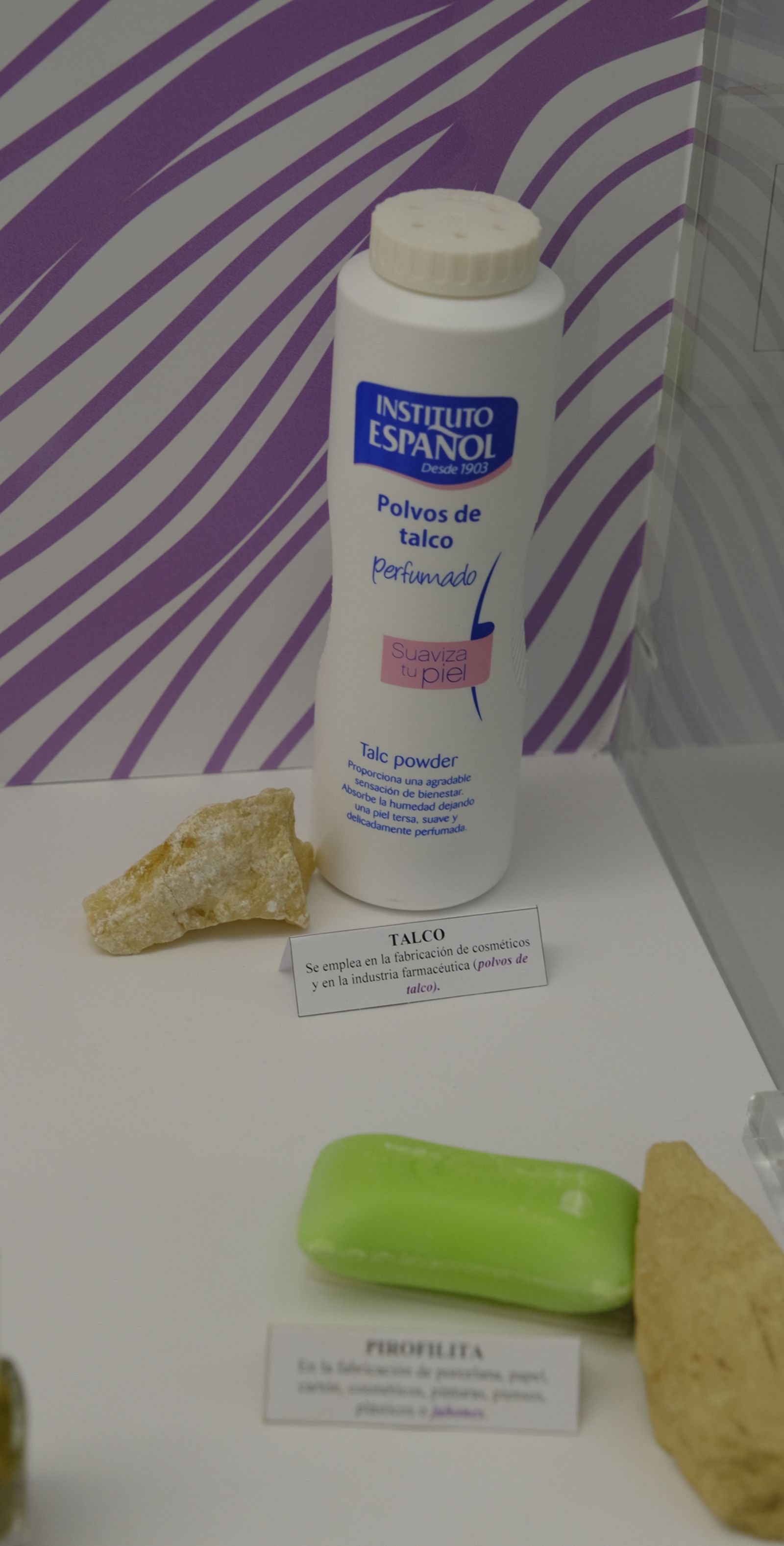 Las mejores imágenes del Pabellón de Historia Natural de la UAL