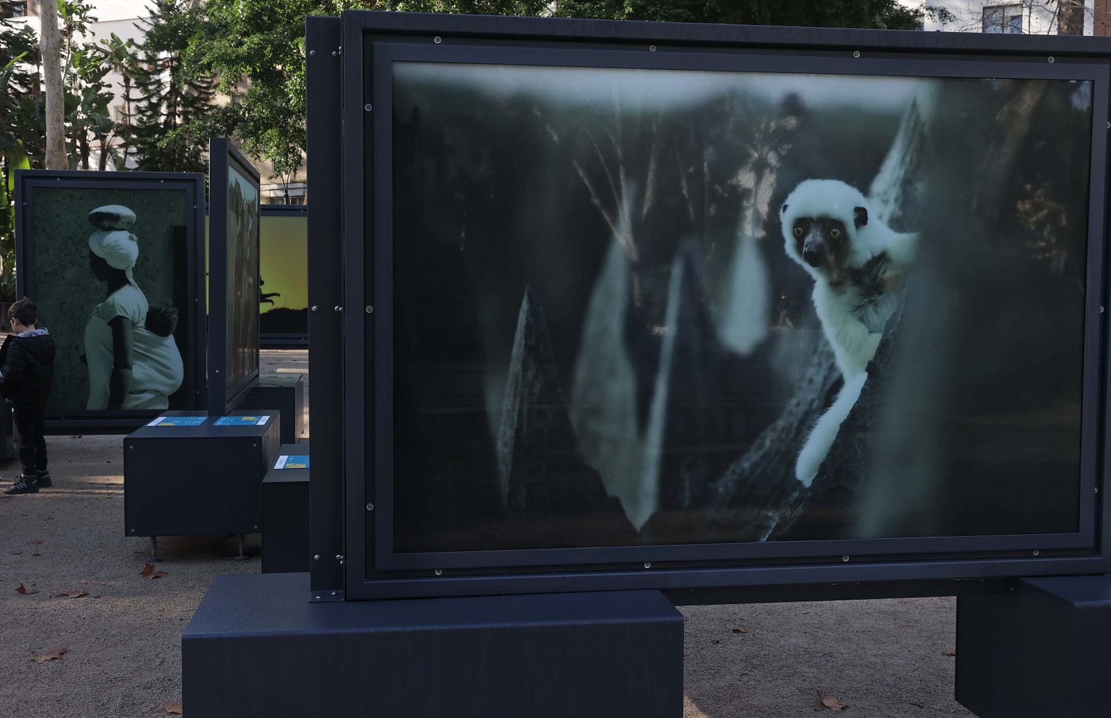 La exposición 'Colores del Mundo' del parque María Cristina de Algeciras, en imágenes