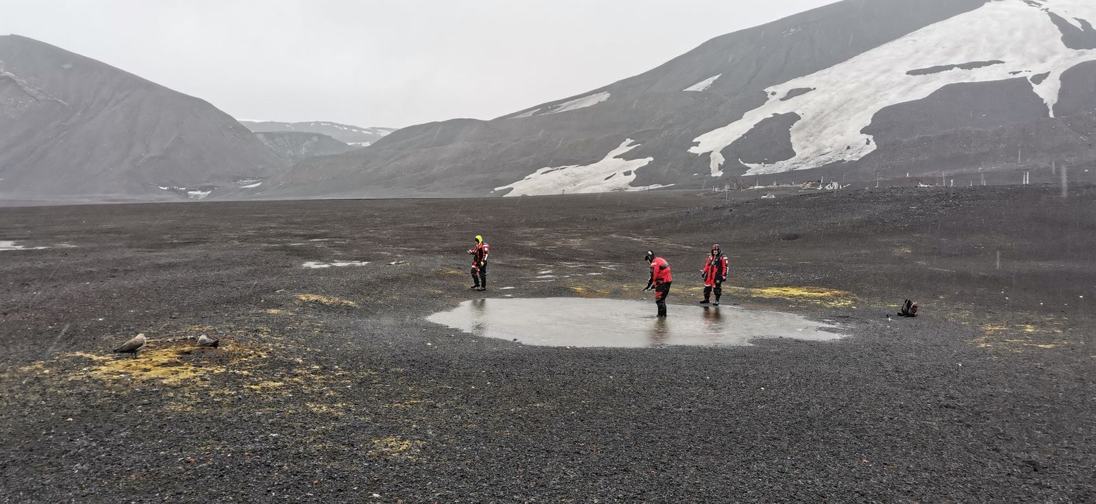 Investigadores de la Universidad de Jaén (UJA) en la Antártida.