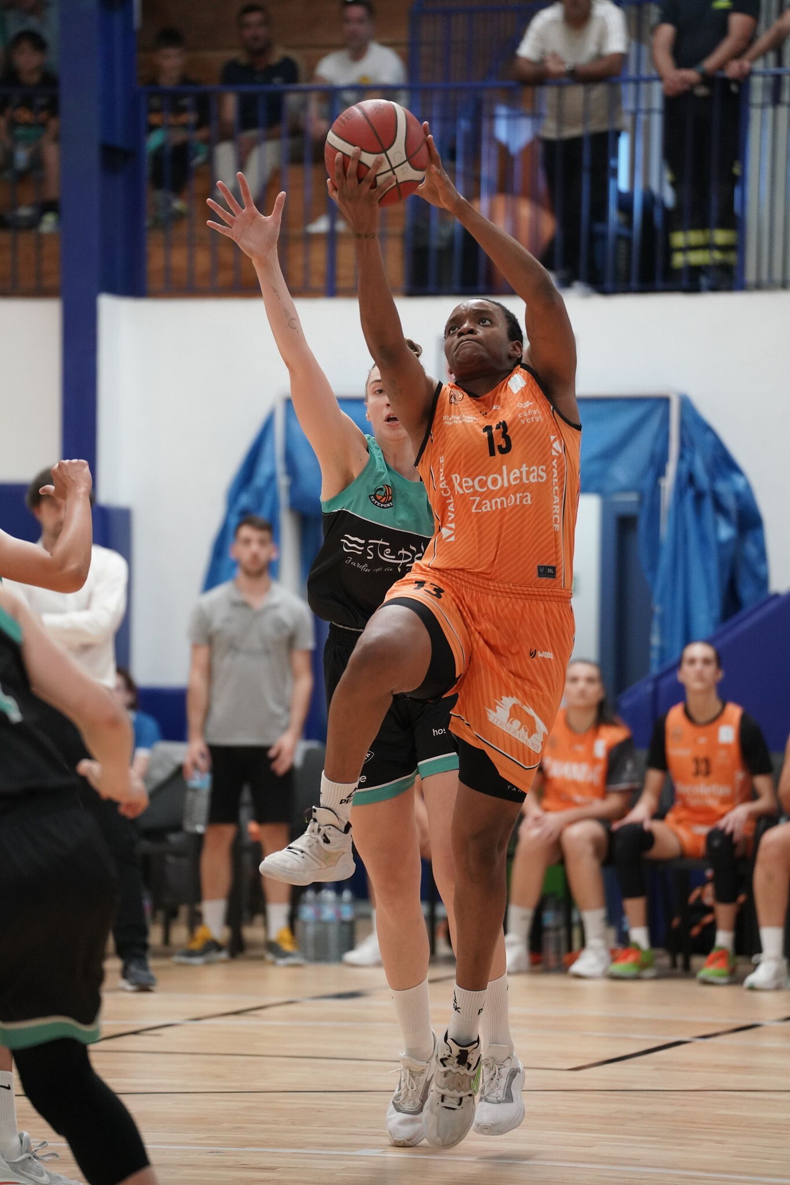 Ambientazo en Estepona para la Final Four de ascenso a Liga Femenina
