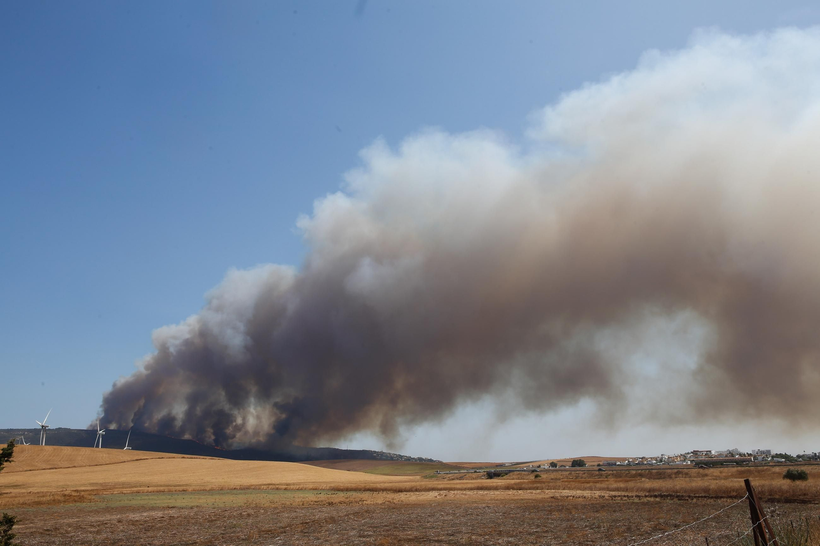 Las fotos del incendio forestal en la Sierra de la Plata de Tarifa