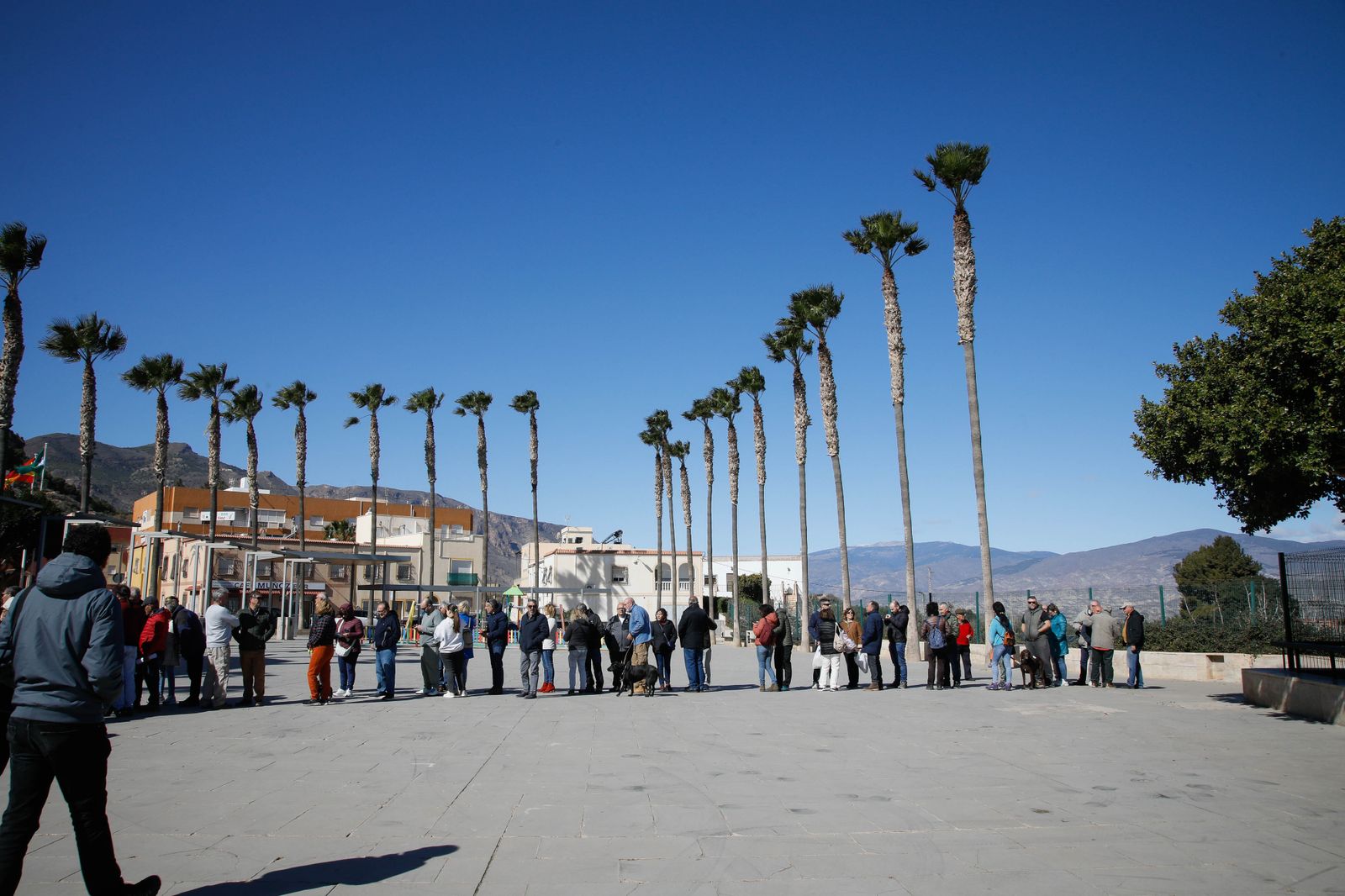 Imágenes del reparto de Parras en Alhama de Almería