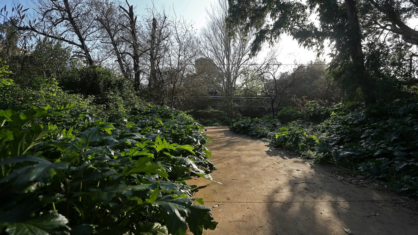 Las mejores fotos del parque fluvial del Río Pícaro