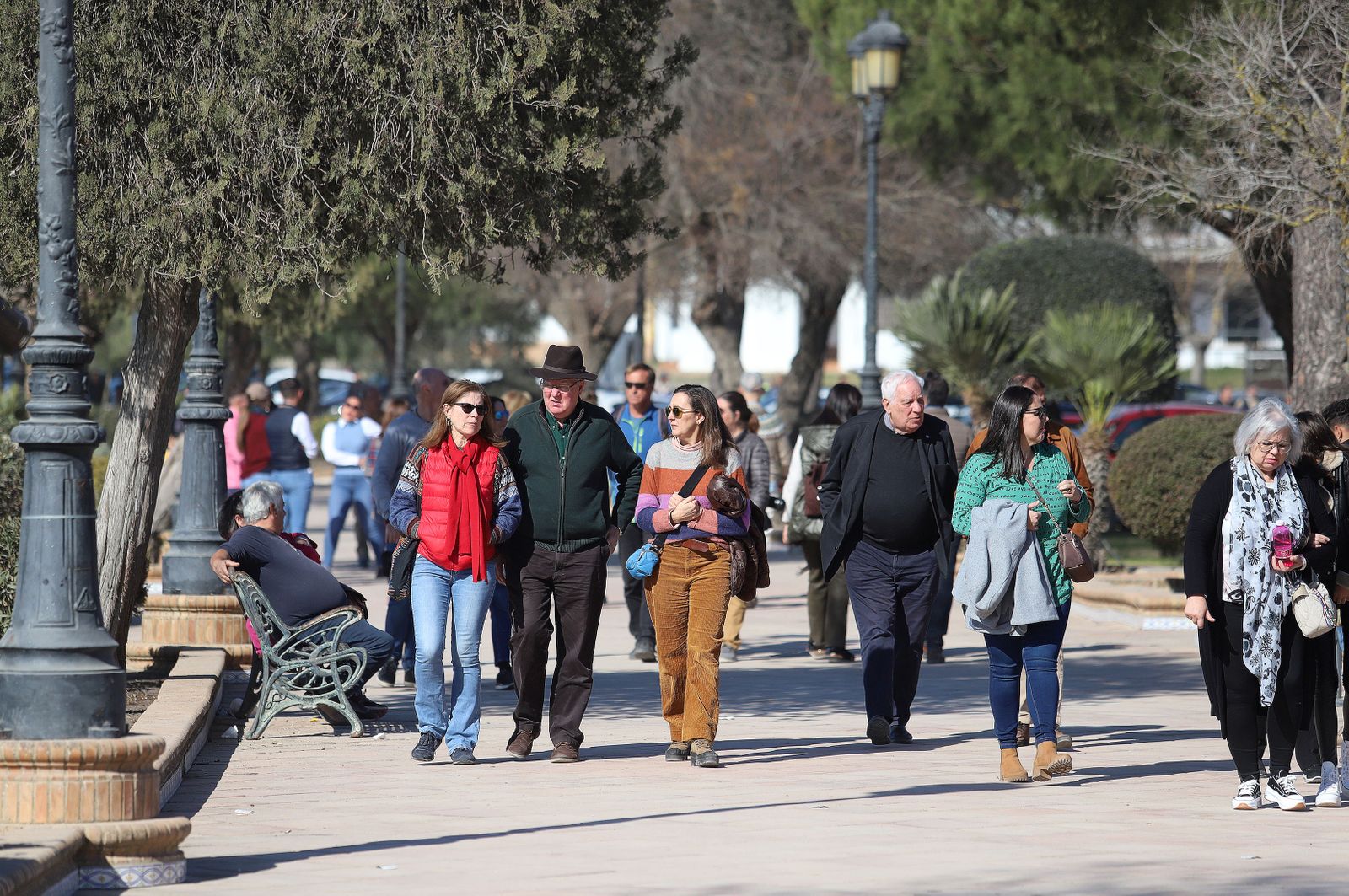 Imágenes del ambiente previo a la celebración de la Candelaria en El Rocío