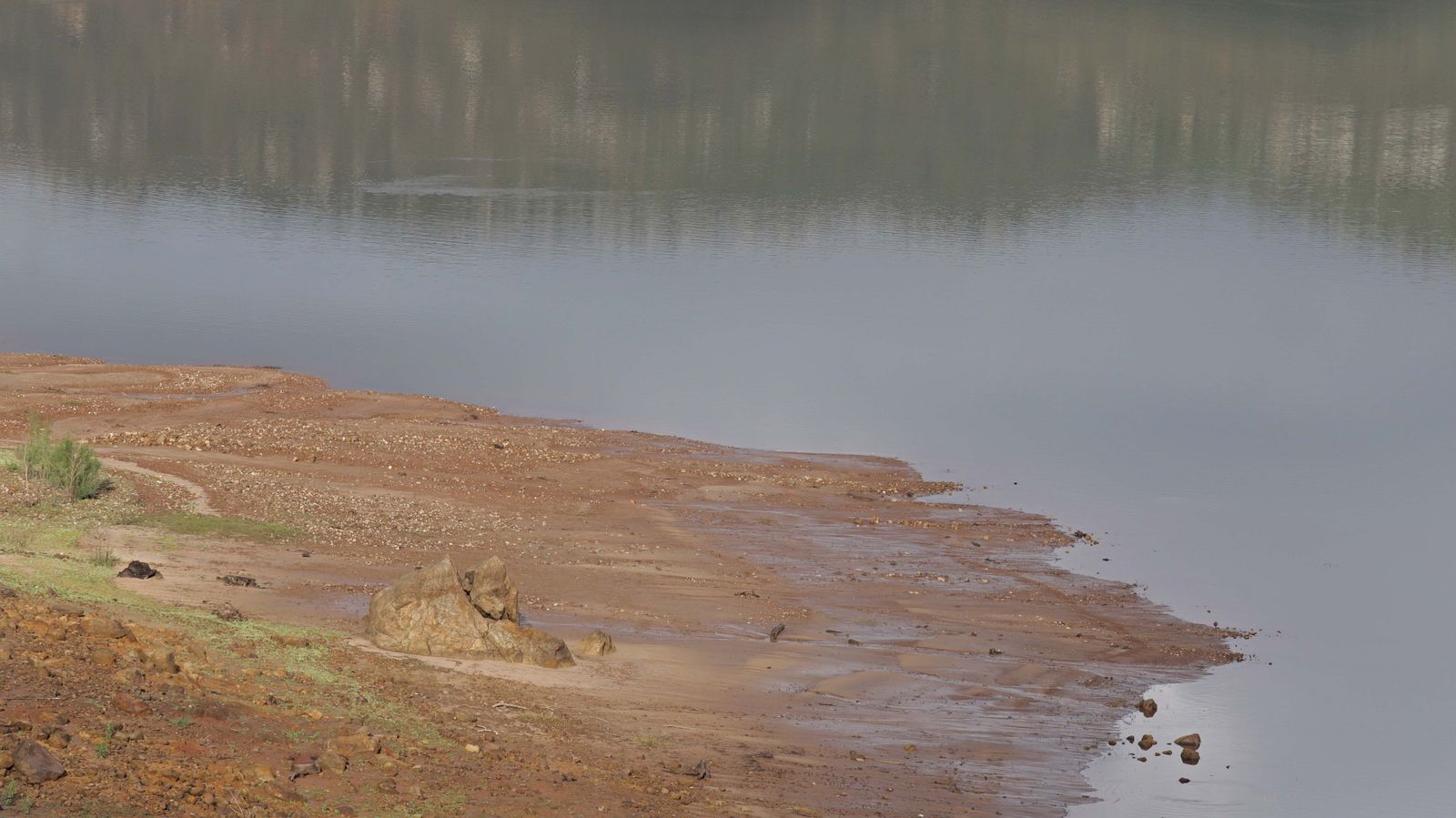Fotos del pantano de Charco Redondo en Los Barrios