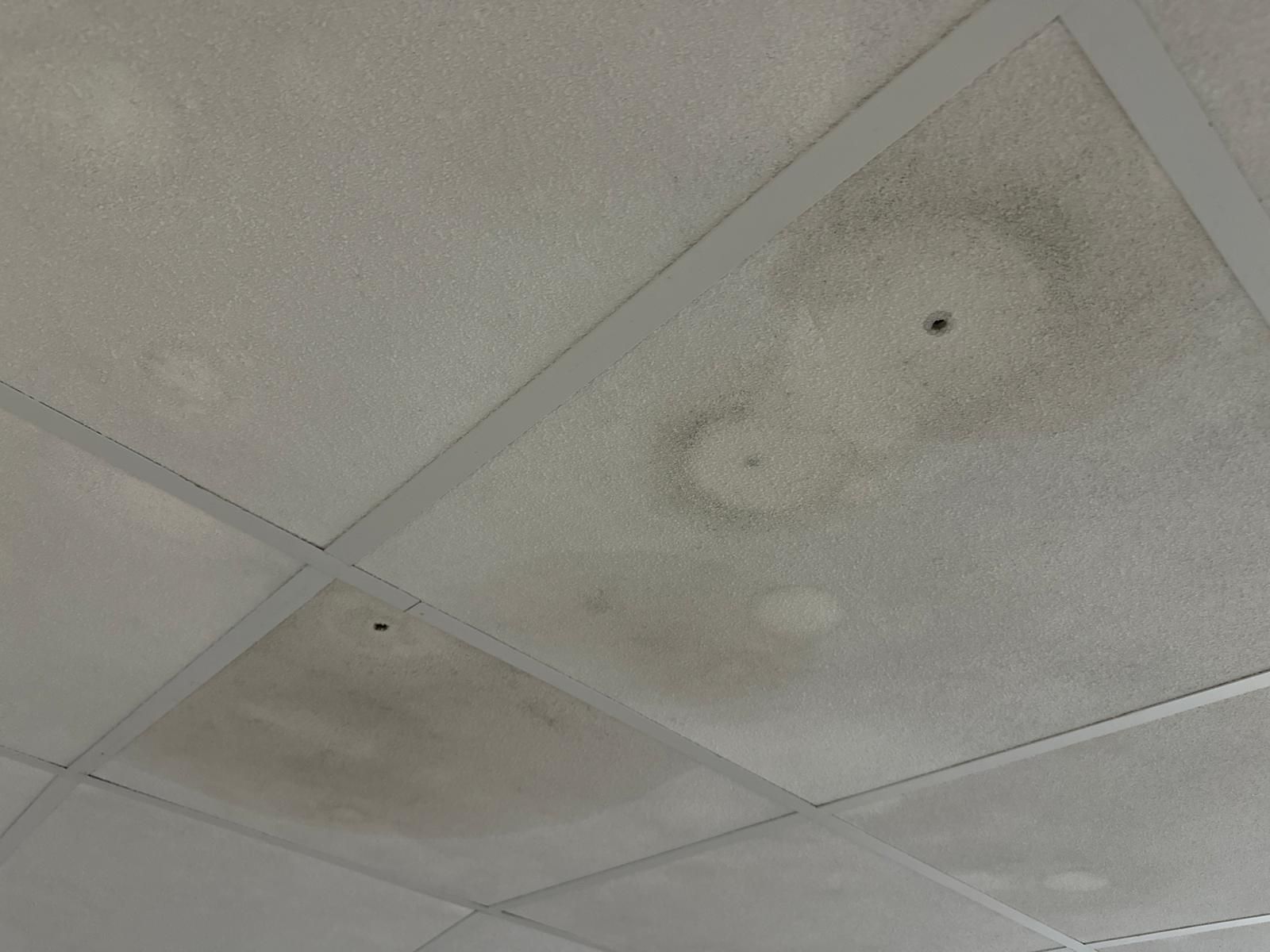 Fotografías de las goteras y humedades en el IES San Blas de Aracena, con alumnos desalojados este miércoles