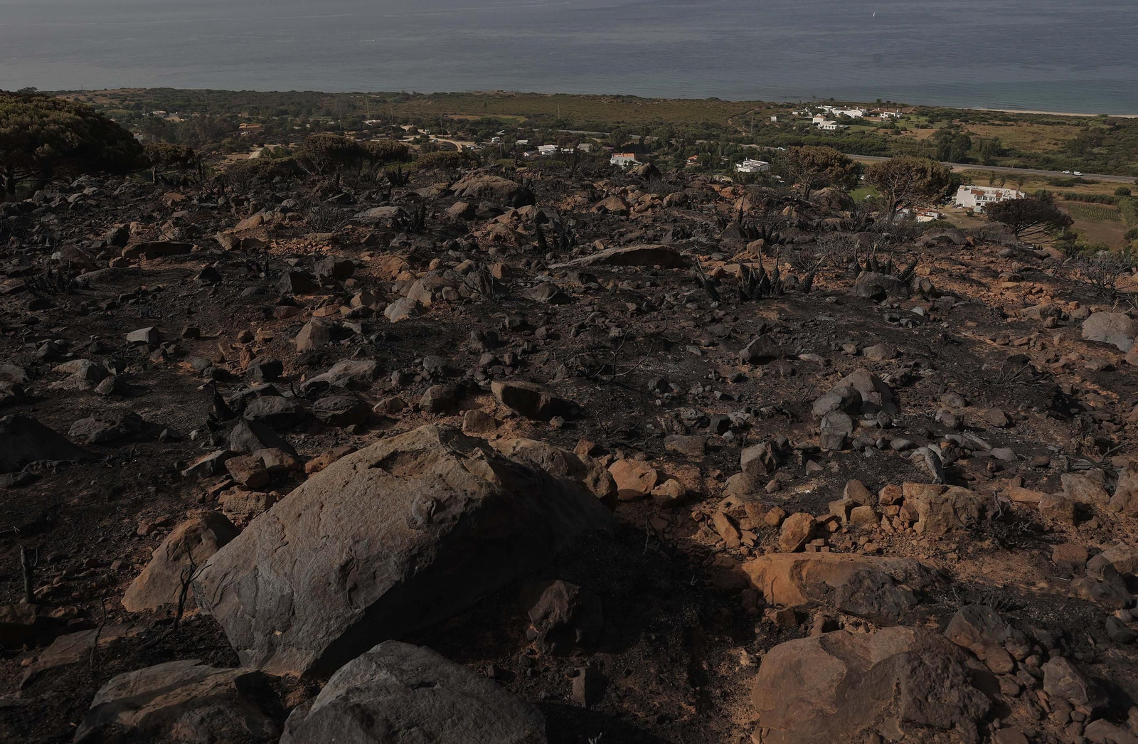 Fotos de los efectos del incendio en el monte de La Peña en Tarifa