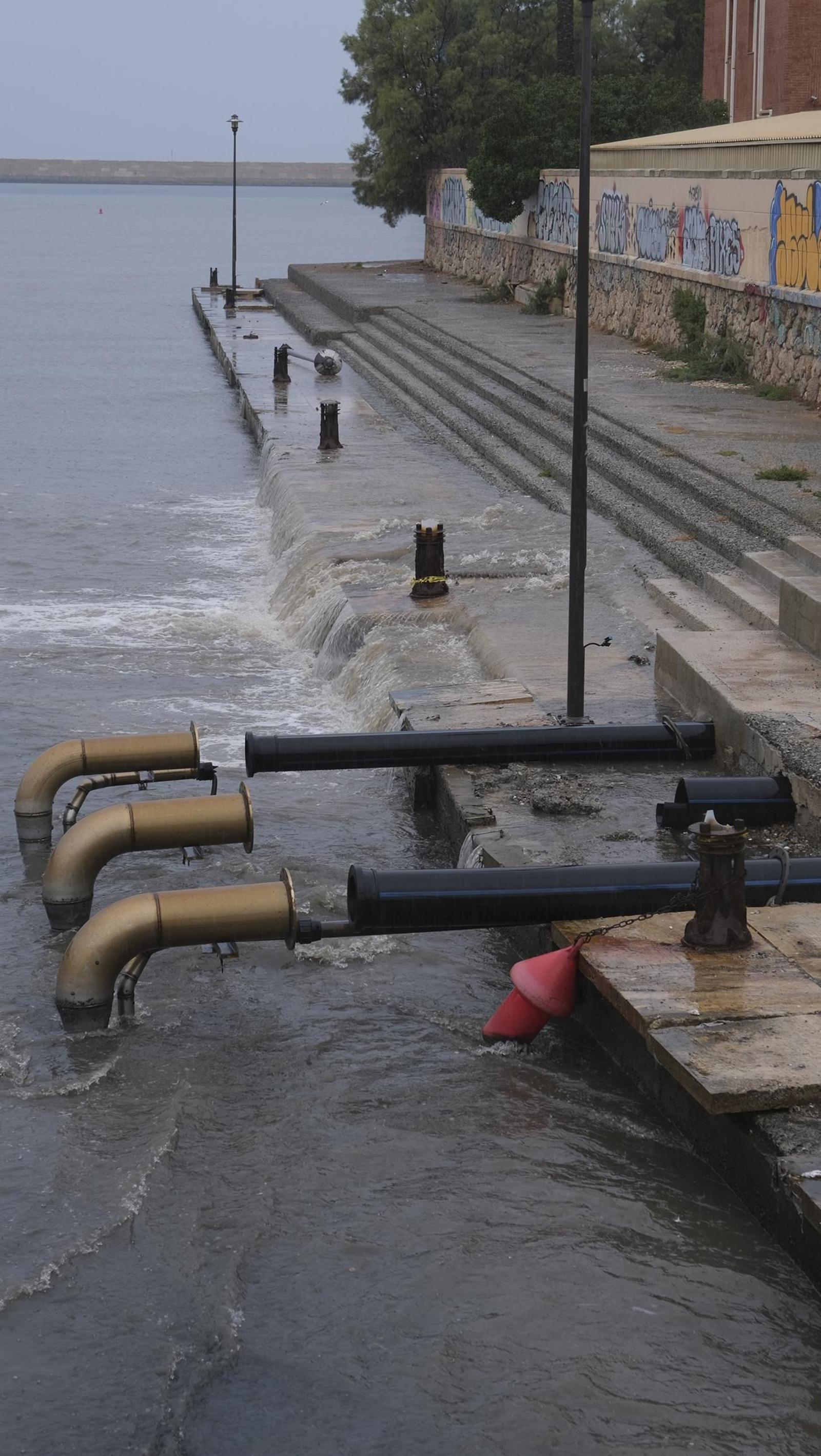 Los almerienses expresan su alegría por la lluvia