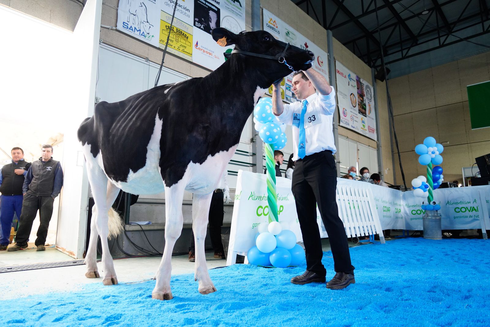 La Feria de Ganado Frisón Usías Holsteins de Dos Torres, en fotografías