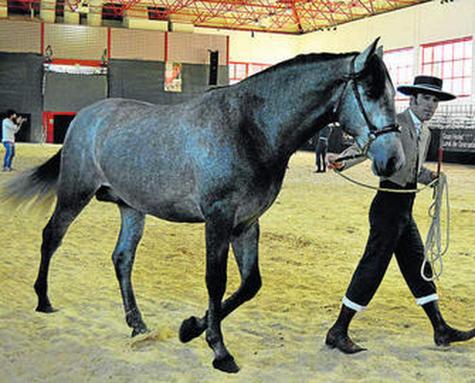 Demostración ecuestre en la primera jornada del Concab, celebrado en Fermasa.
