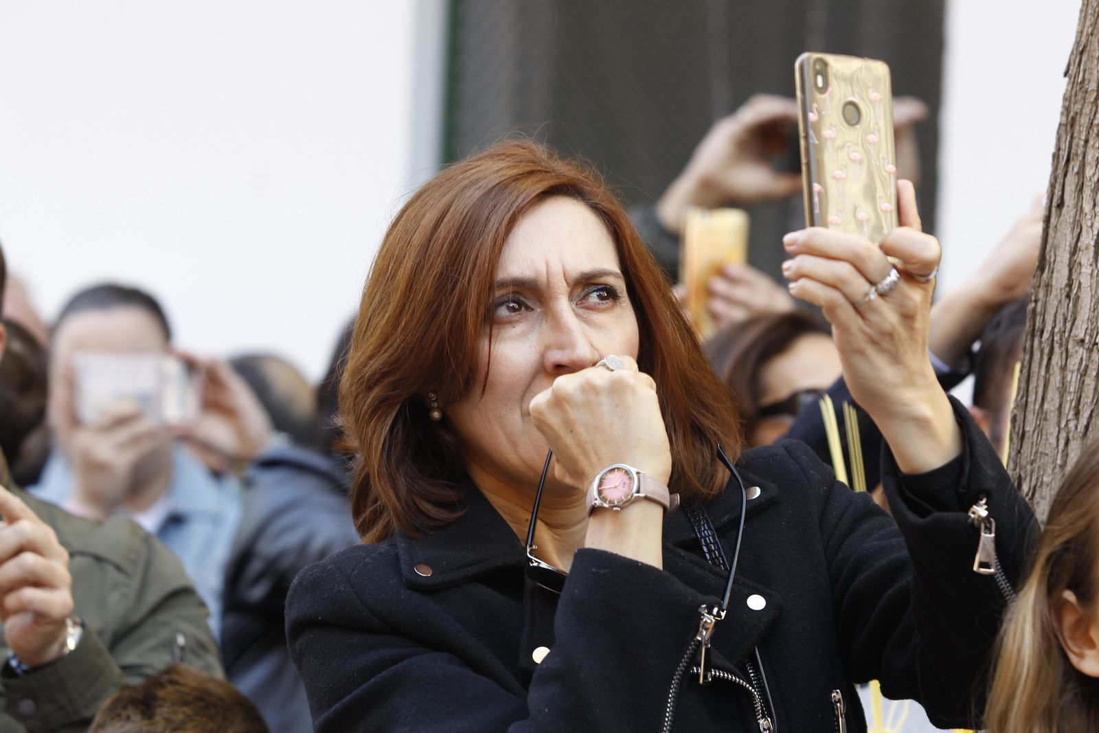 Imágenes Procesión de la Borriquita de Almería capital. Semana Santa 2019