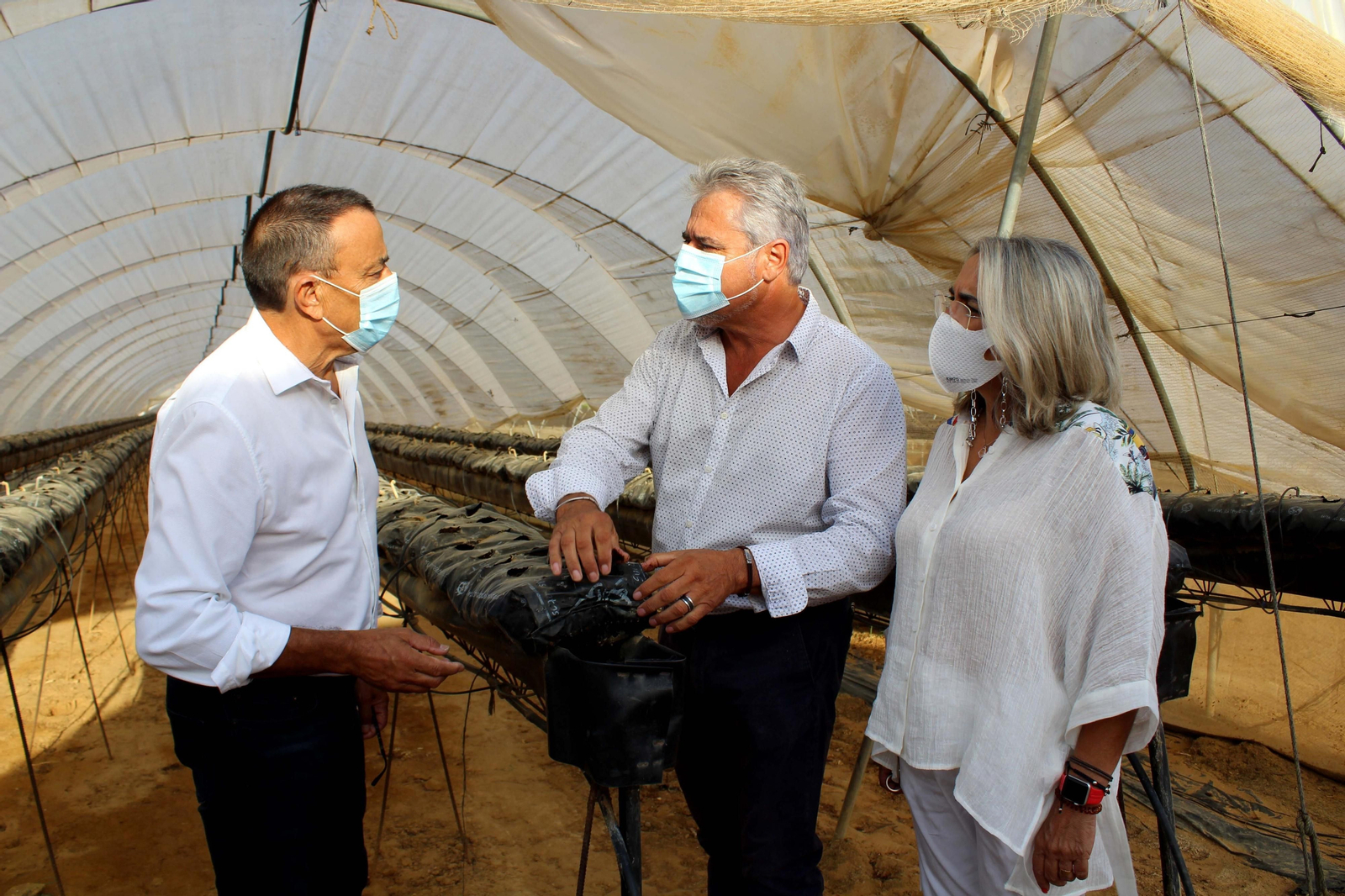 Ignacio Caraballo y la alcaldesa de Cartaya atienden las explicaciones en su visita a la finca de Frutas Esther.