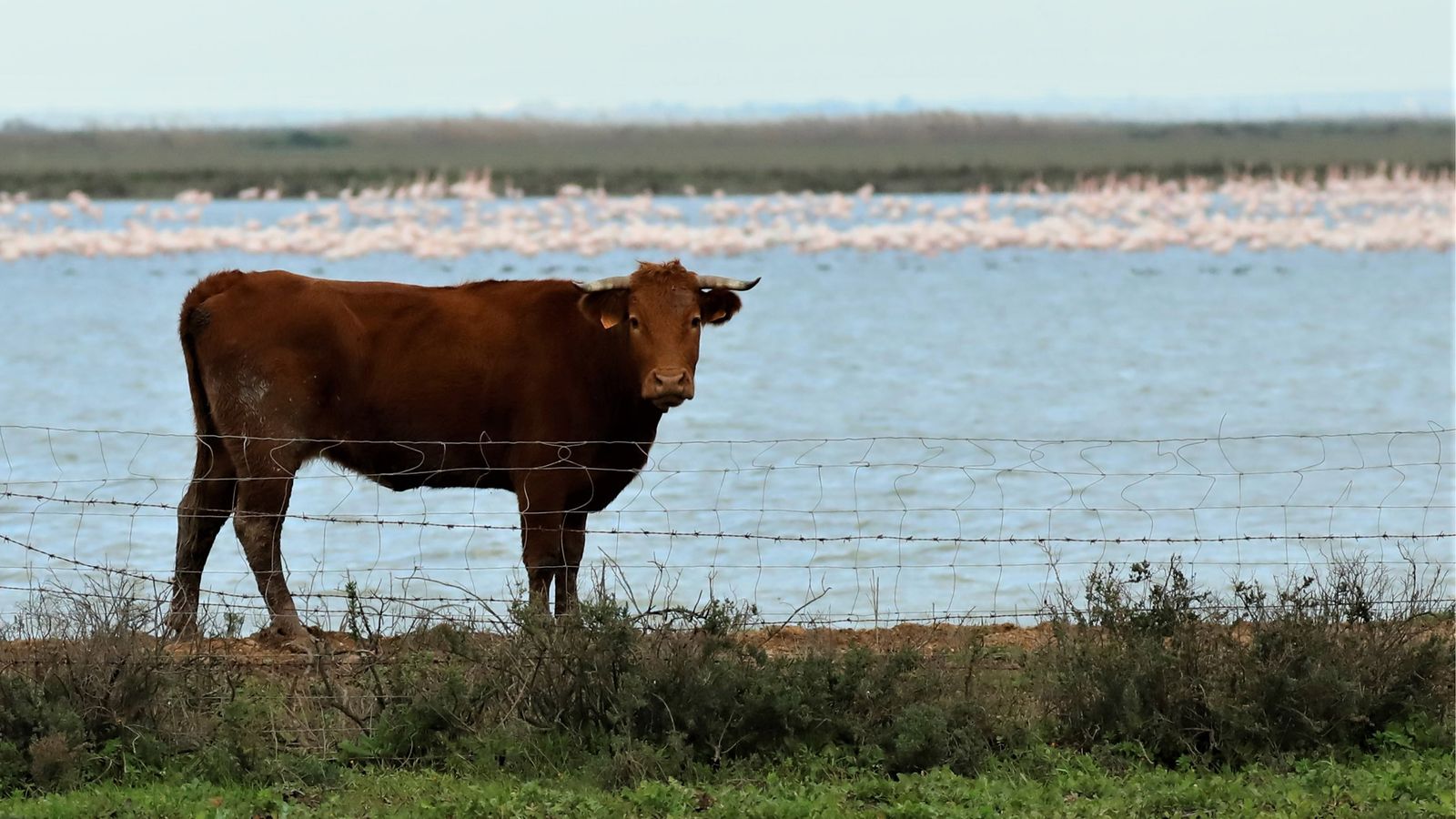 Una de las imágenes que pueden verse en la muestra.