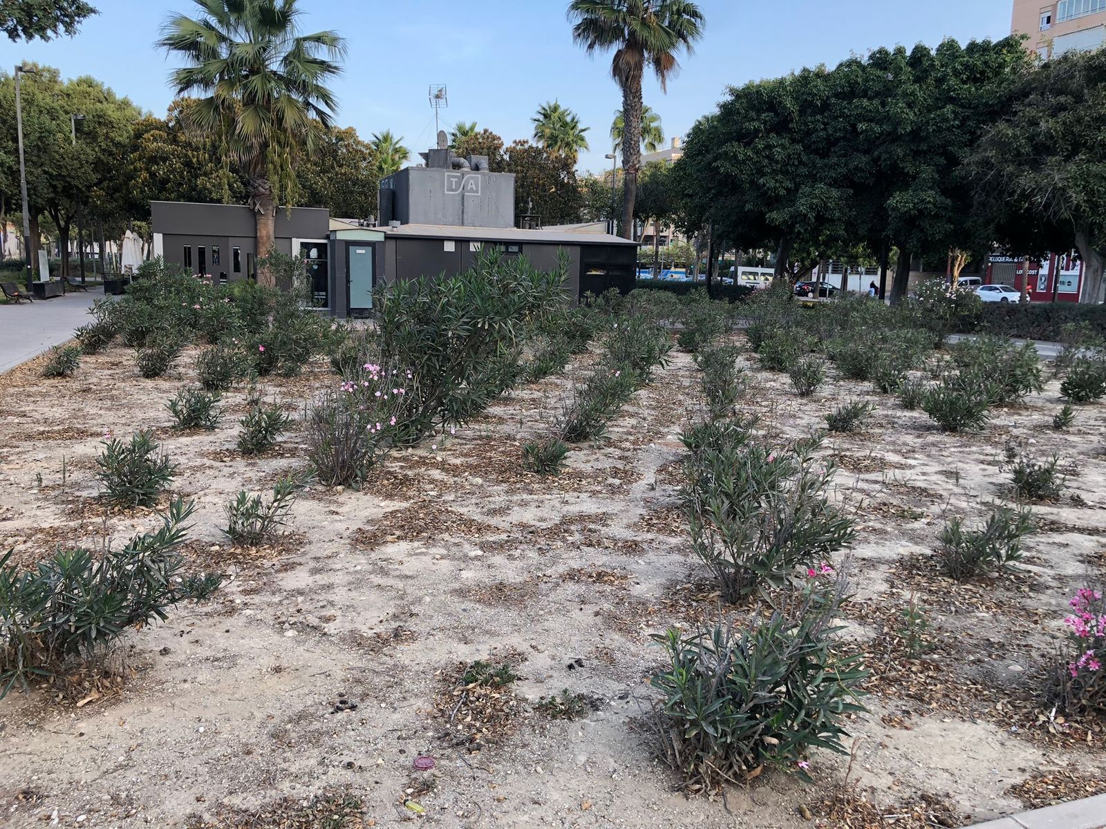 El espacio escogido en el parque de Los Periodistas, junto al edificio Presidente,  para la  zona canina
