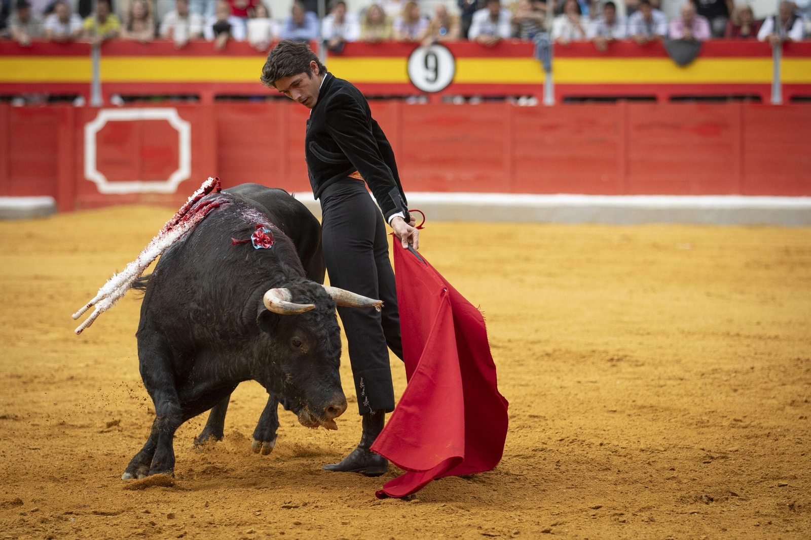 El Festival Taurino a beneficio de Granadown, en imágenes