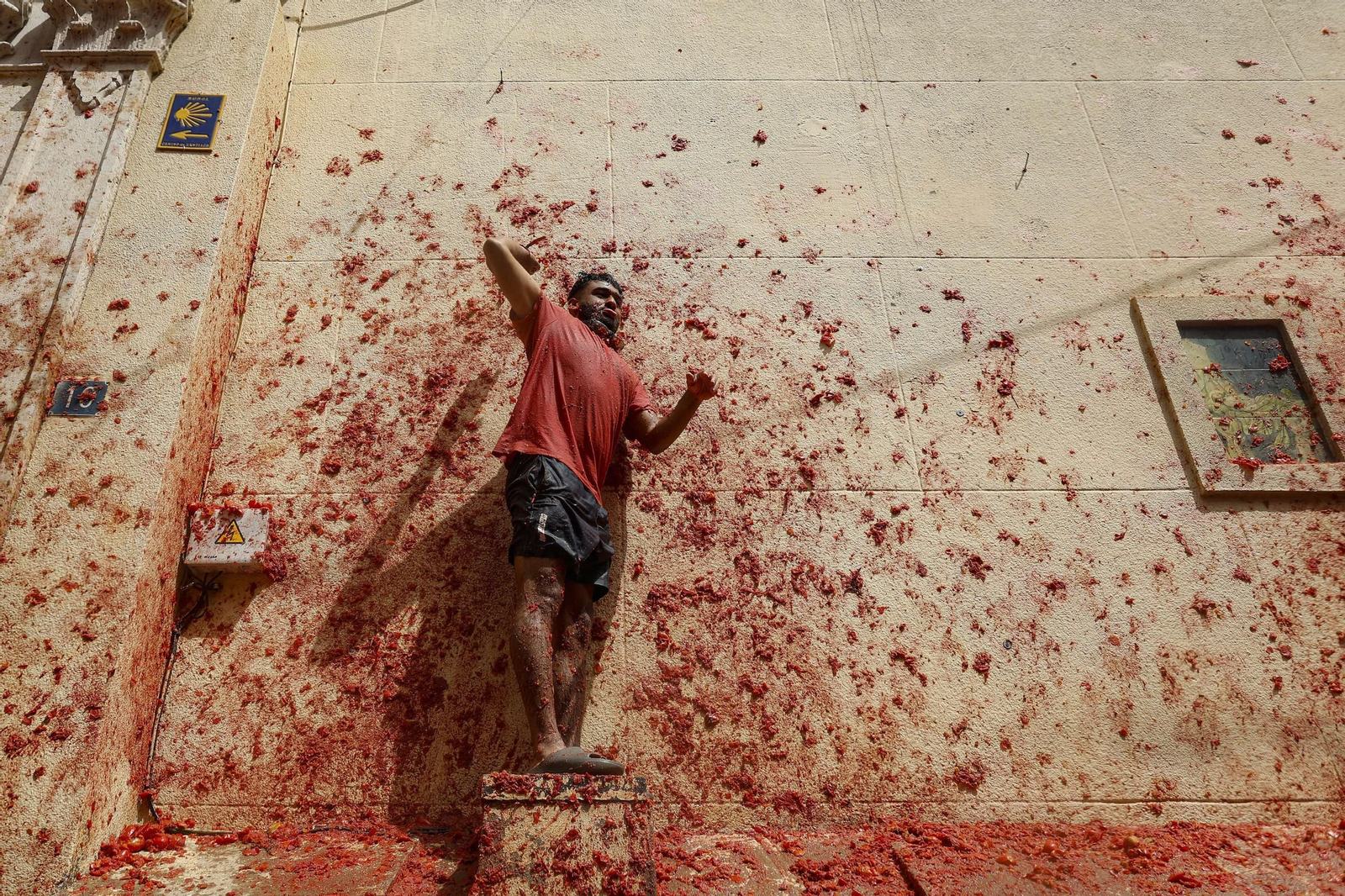 Las mejores fotos de la Tomatina de Buñuel 2025