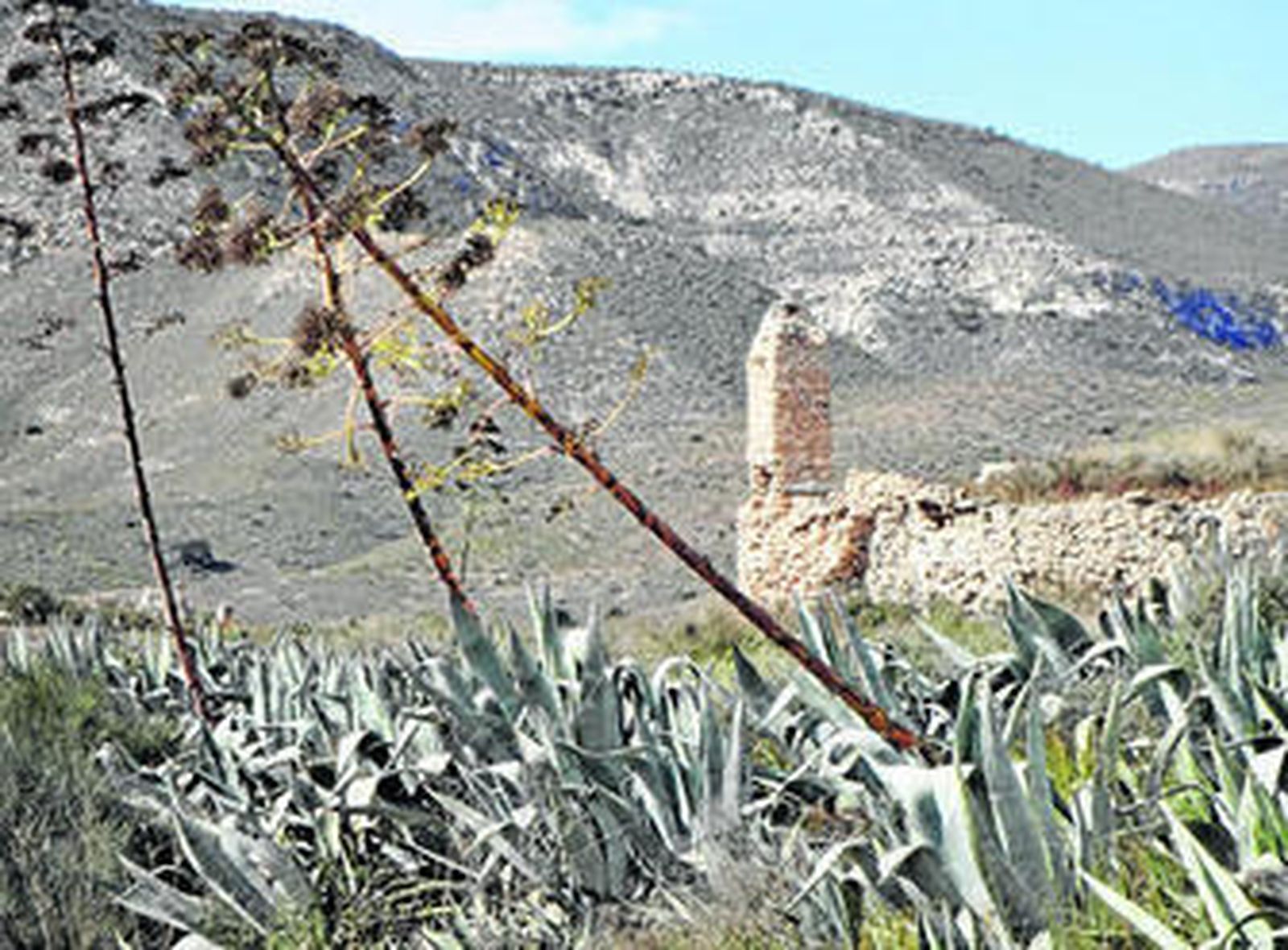 La muerte silenciosa