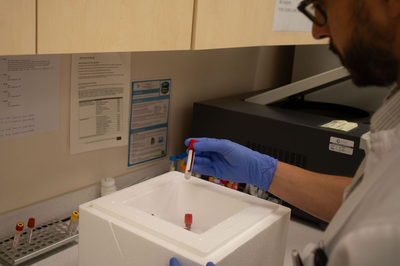 Investigadores de los hospitales Virgen del Rocío de Sevilla y Sant Joan de Deu en Barcelona descubren una nueva enfermedad rara infantil