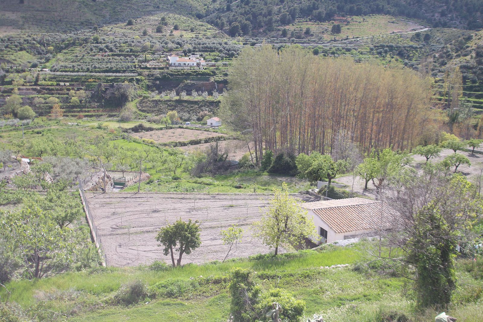 Fotogalería del confinamiento por coronavirus en los pueblos de la provincia de Almería
