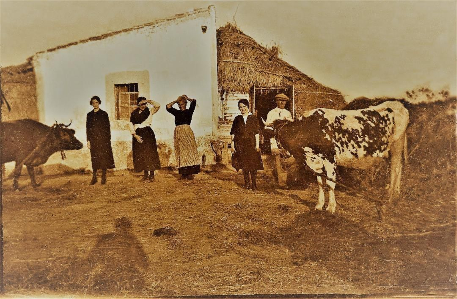 El origen del barrio de La Laguna comenzó con una vaquería en  unas huertas adquiridas a los herederos de Simón Bruzón  Gallet.