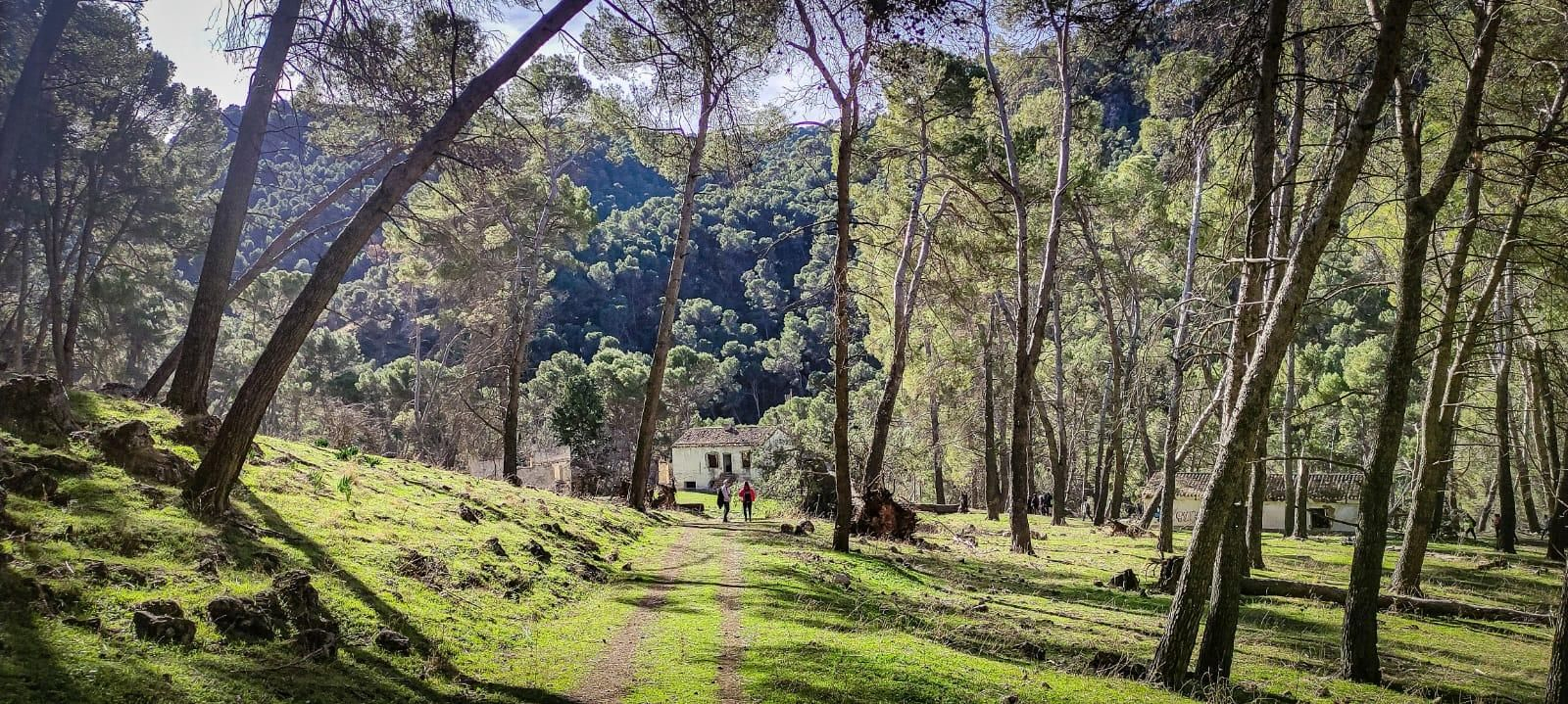 Ruta de senderismo con vistas a Sierra Nevada y la Sierra Sur: subida a la cumbre de Puerto Alto desde la Cañada de las Hazadillas
