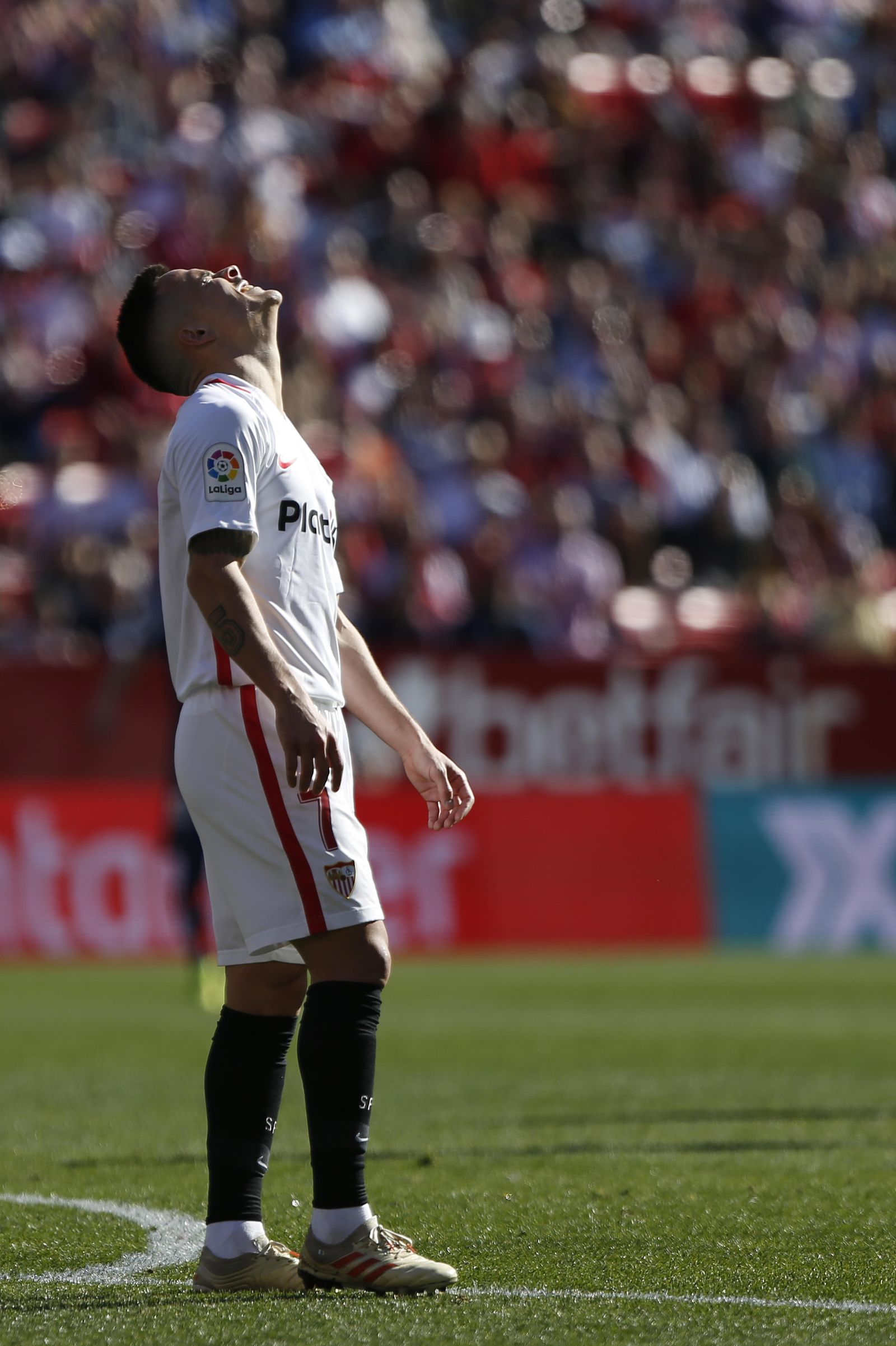 Las imágenes del Sevilla FC - Levante