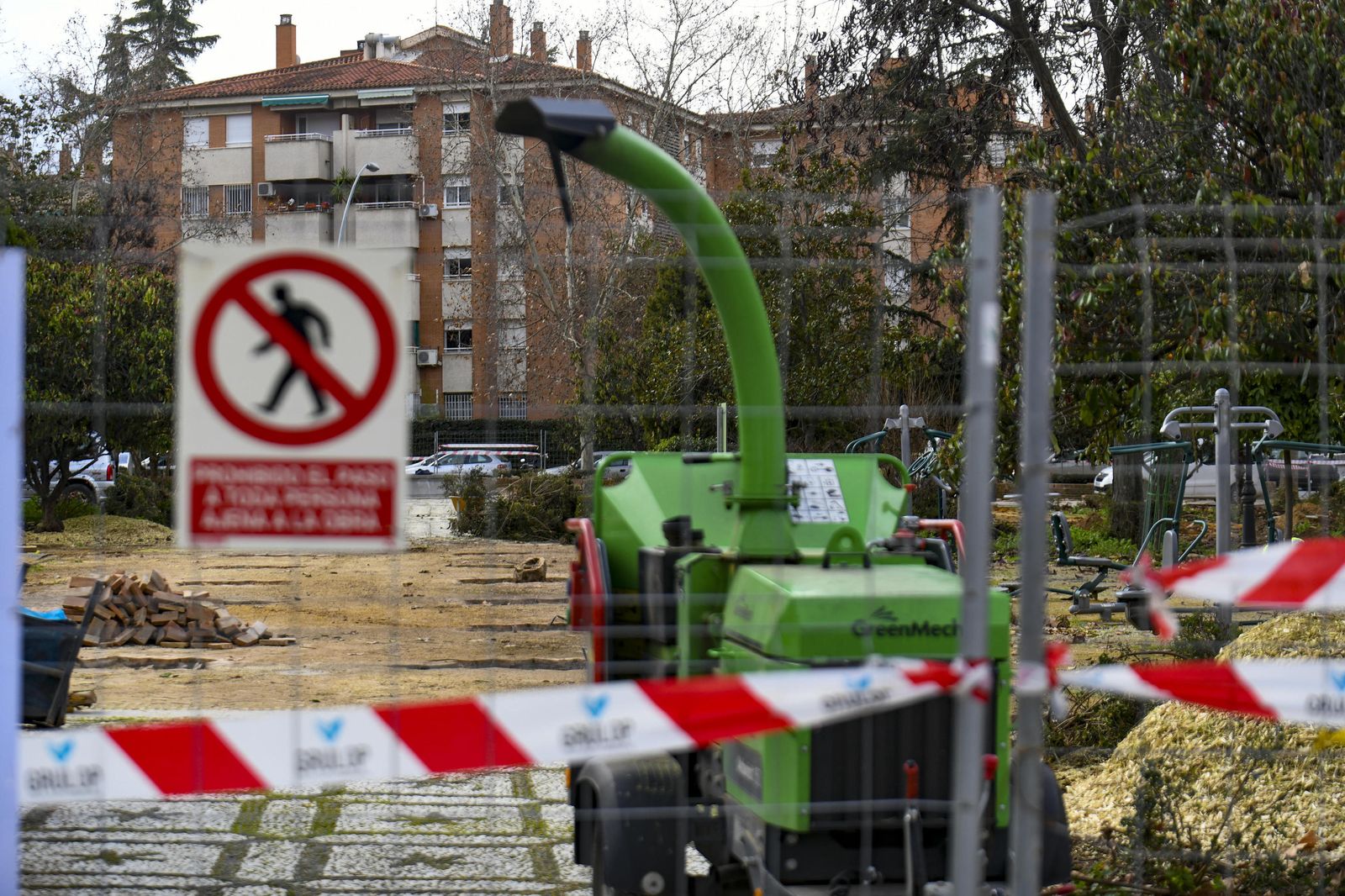 Fotos: así ha quedado la Plaza Escultor López Burgos tras otra poda en Granada