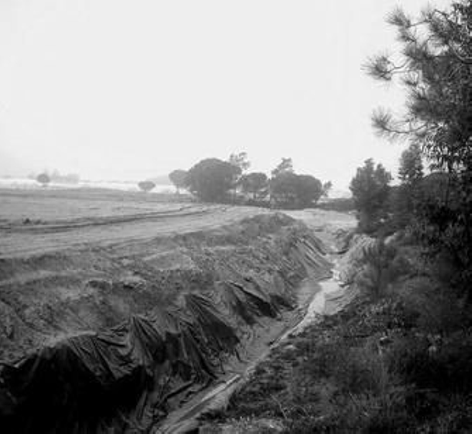 Una de las fincas investigadas por cambio de uso del suelo.