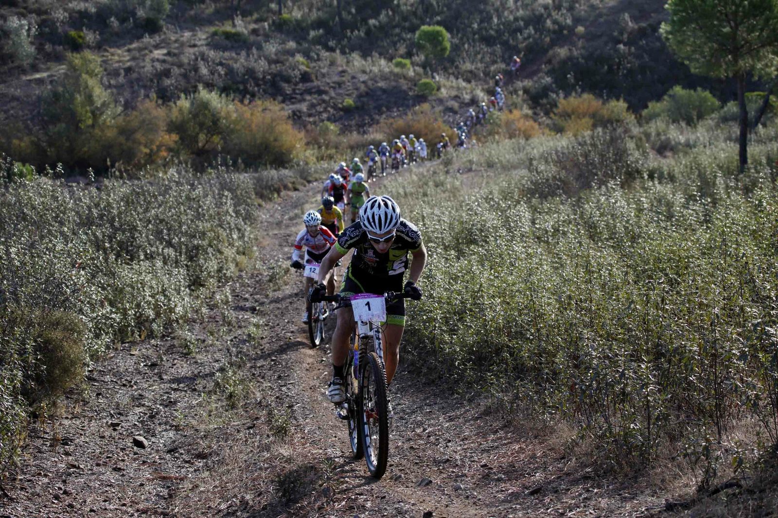 Varios ciclistas, en pleno esfuerzo durante una prueba.