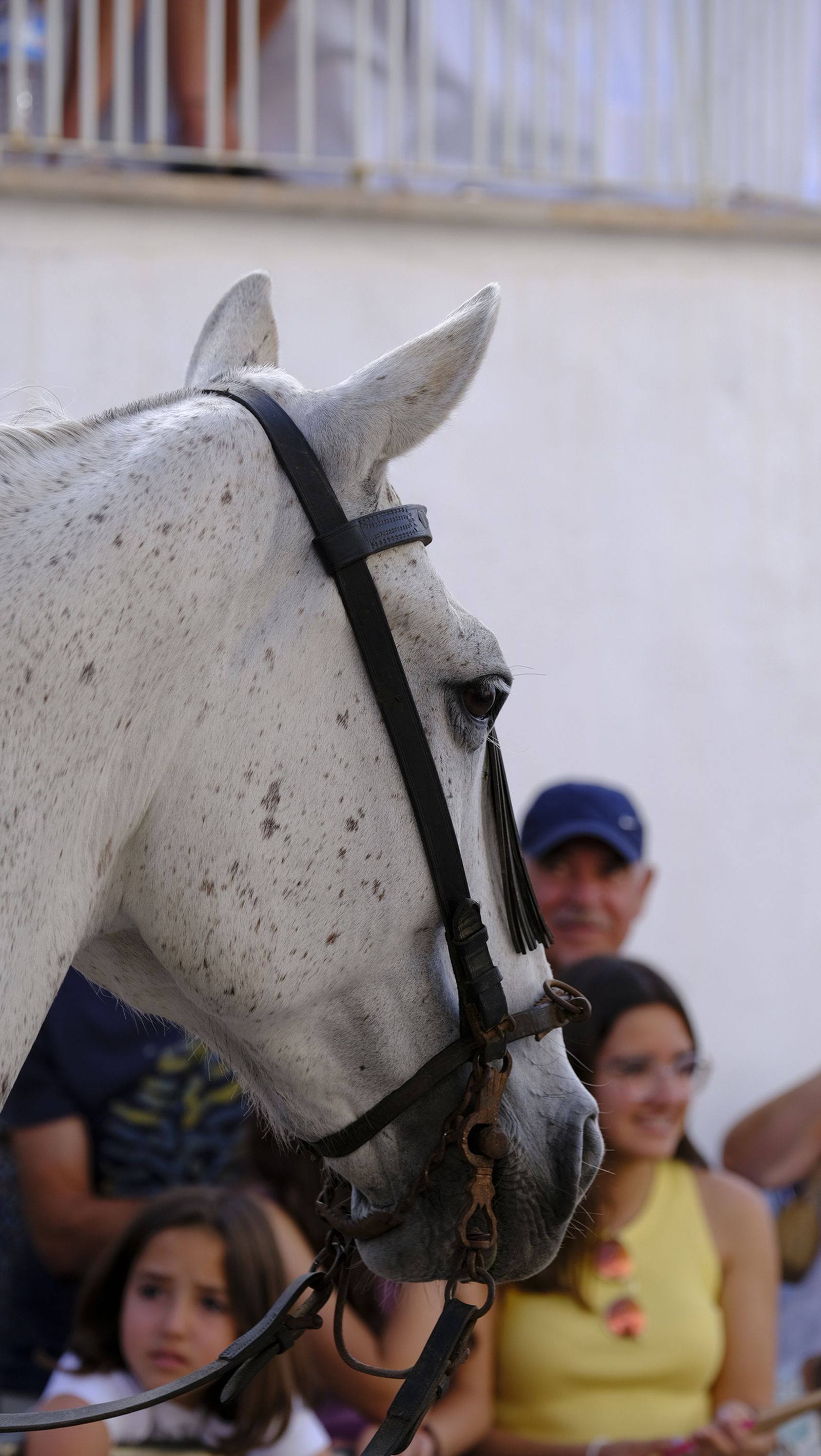 Imágenes del desfile de Moros y Cristianos 2023, en Mojácar