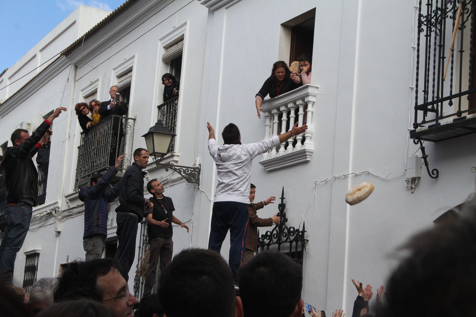Imágenes de las tiradas en honor a San Antonio Abad en Trigueros