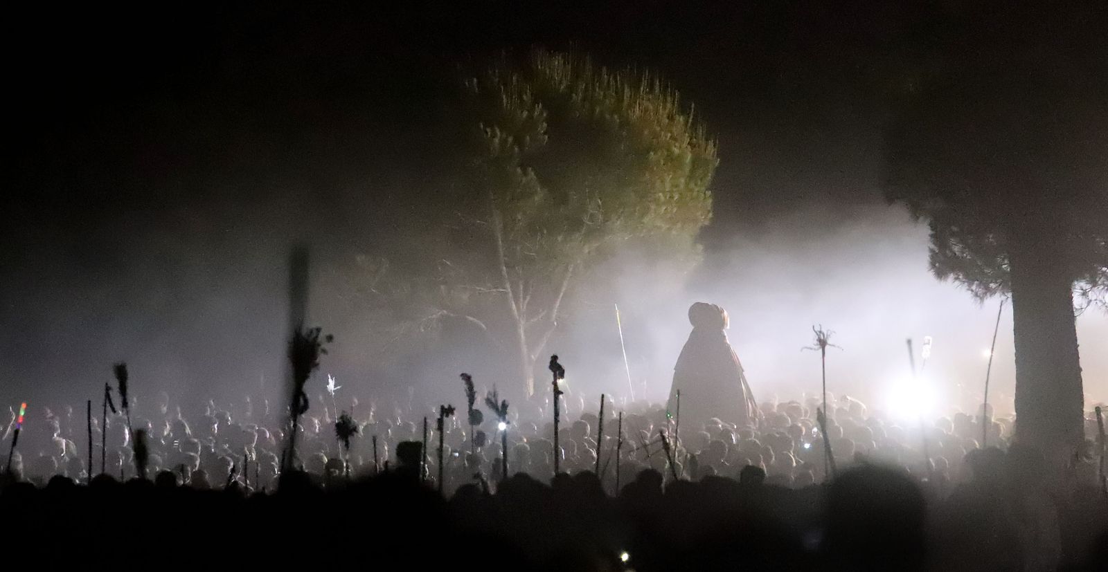 Recuerda las imágenes de la Venida de la Virgen del Rocío a Almonte en 2019