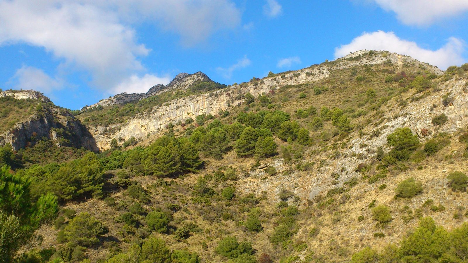 El barranco del tajo del Quejigal.