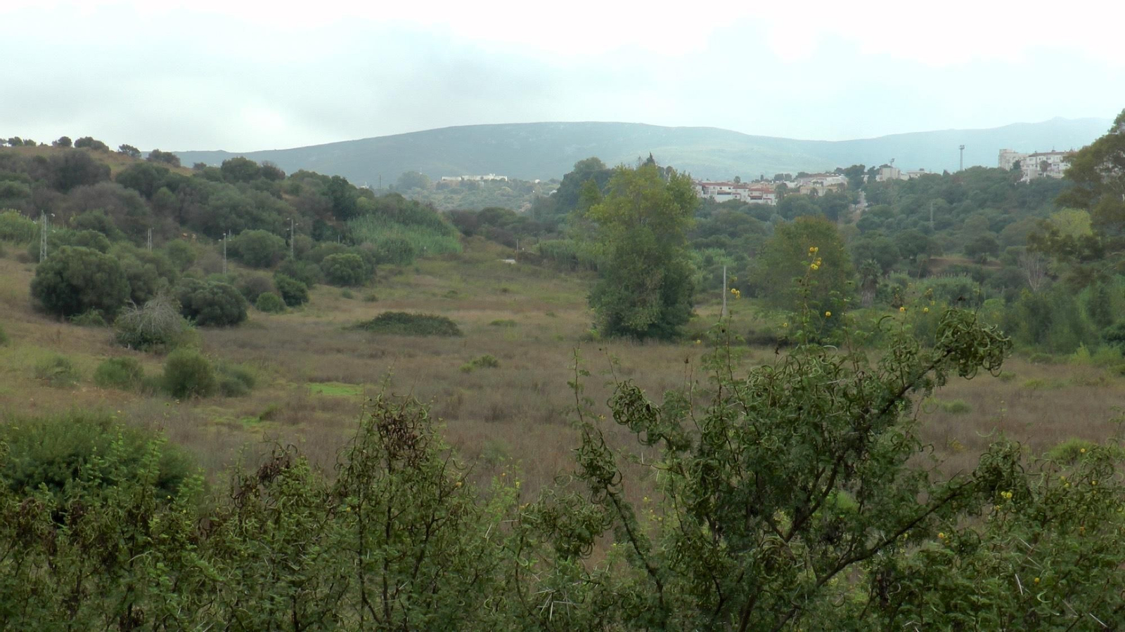 La Huerta del Valenciano.