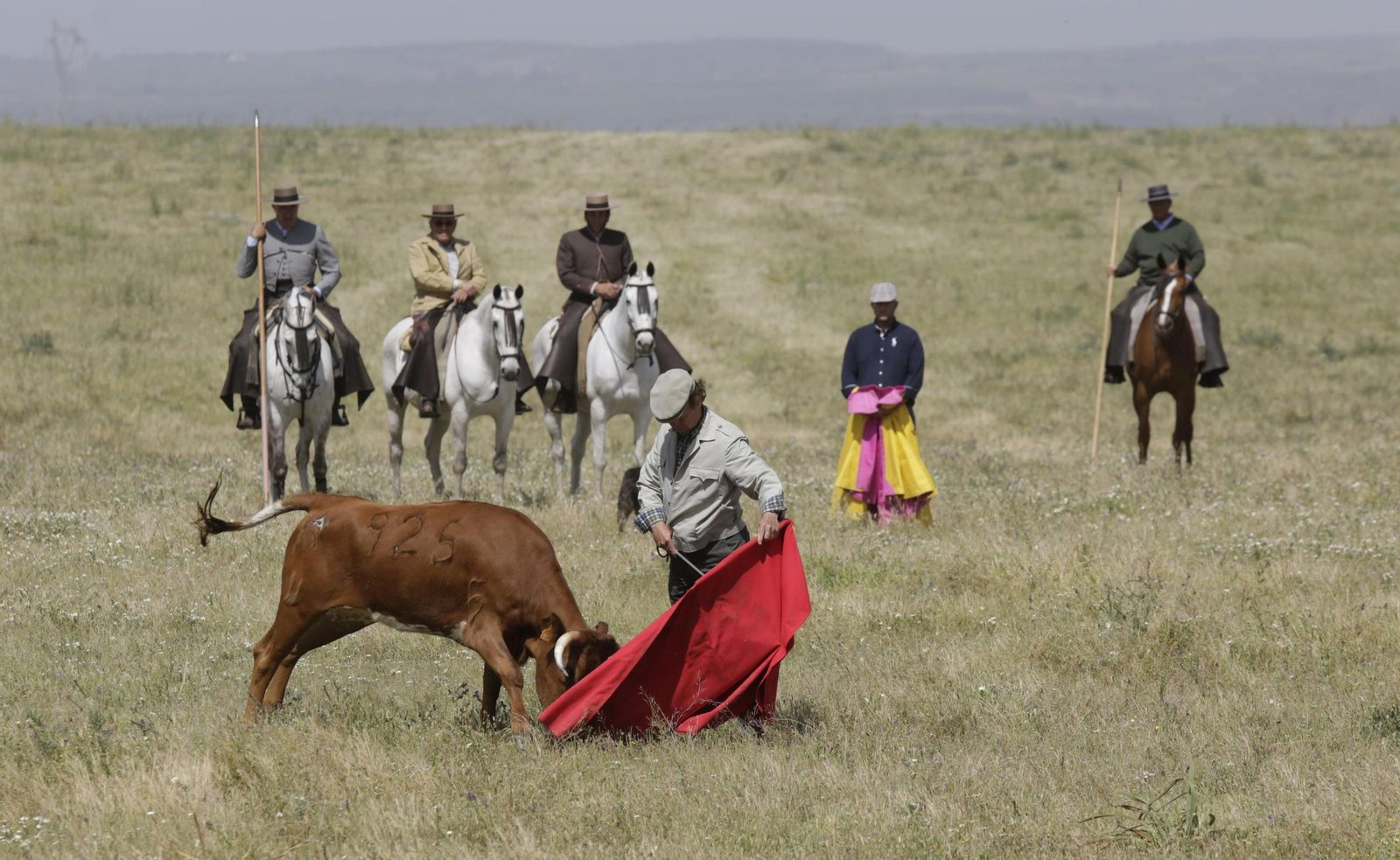 La celebración del 175 aniversario de la ganadería Miura, en imágenes