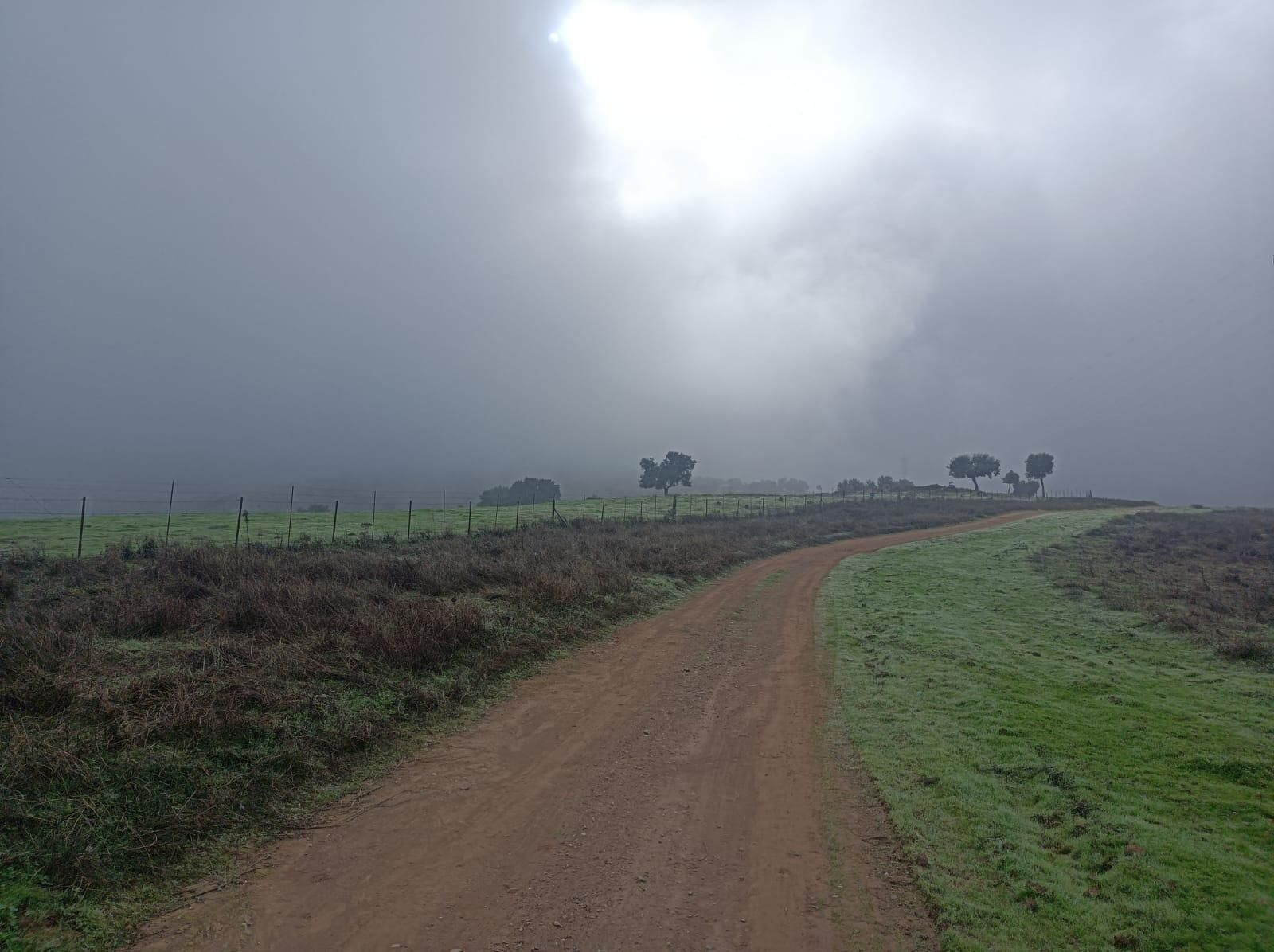 La pista es muy ancha en este tramo.