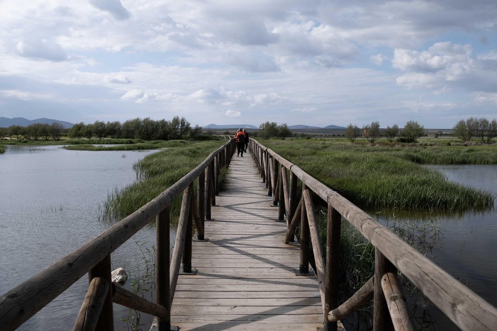 Laguna de Fuente de Piedra tras las lluvias, en fotos