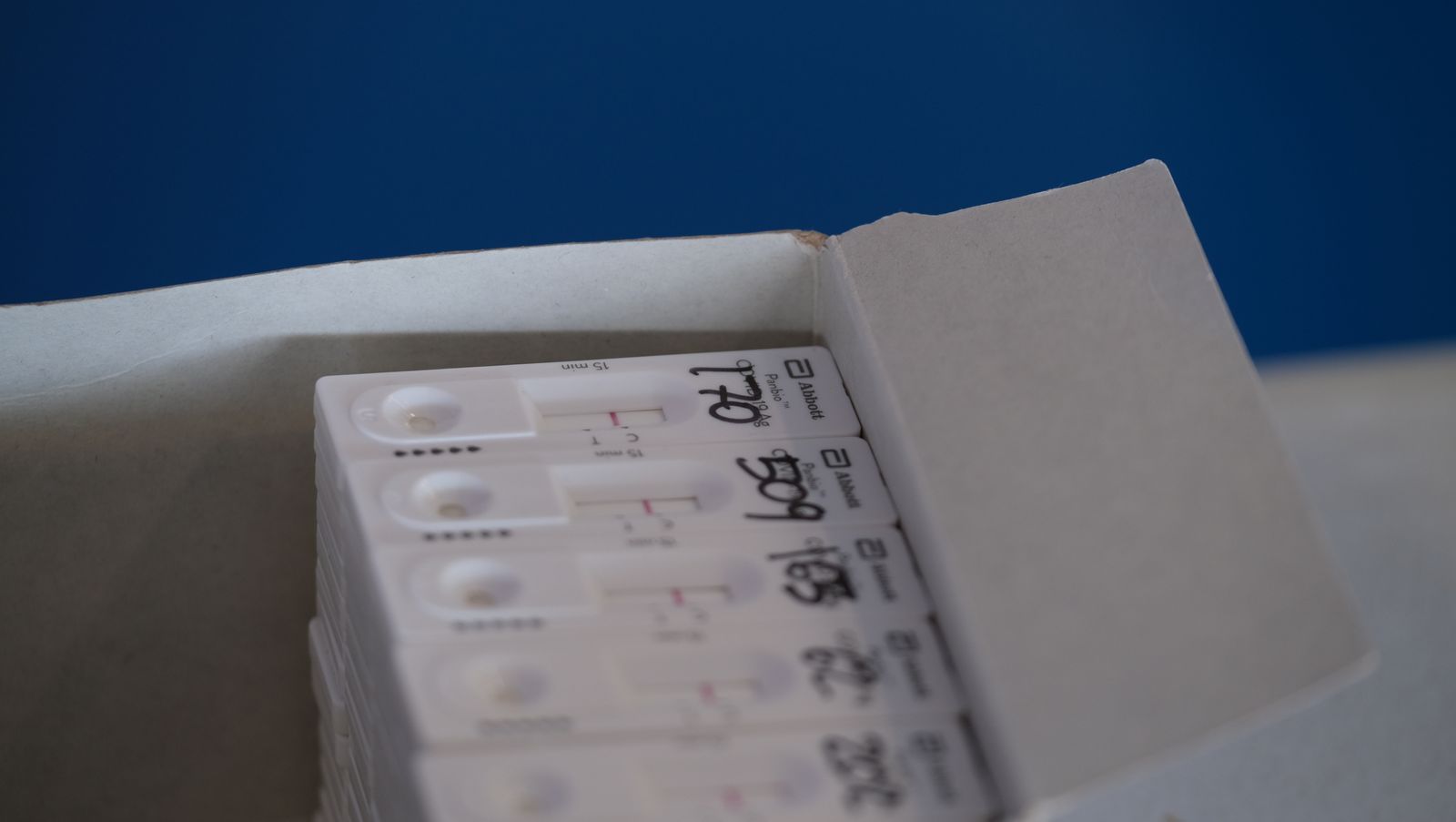 Fotogalería cribado test antígenos COVID-19 en Berja. Almería