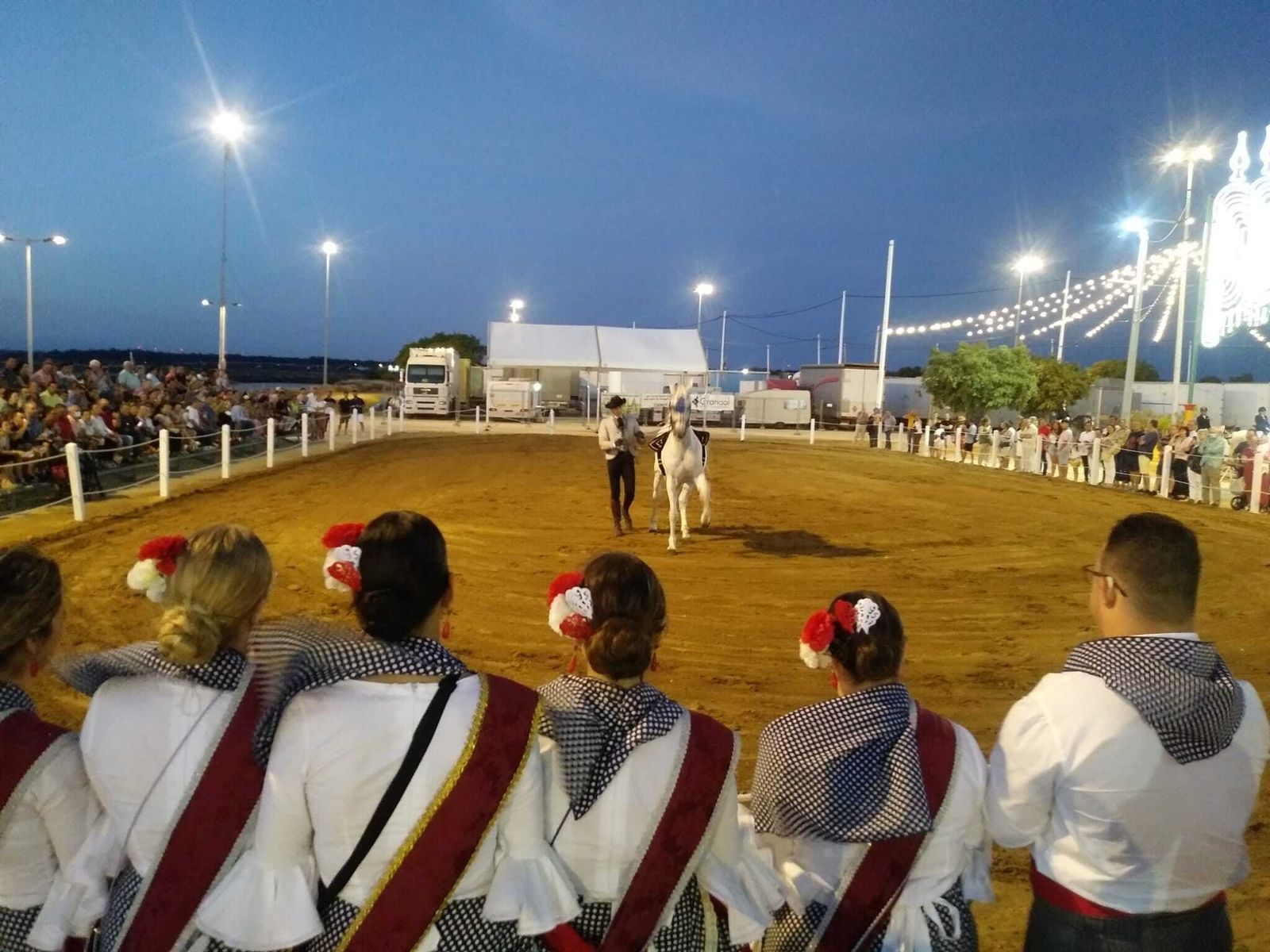 El recinto de Equimar ofrecerá espectáculos ecuestres.