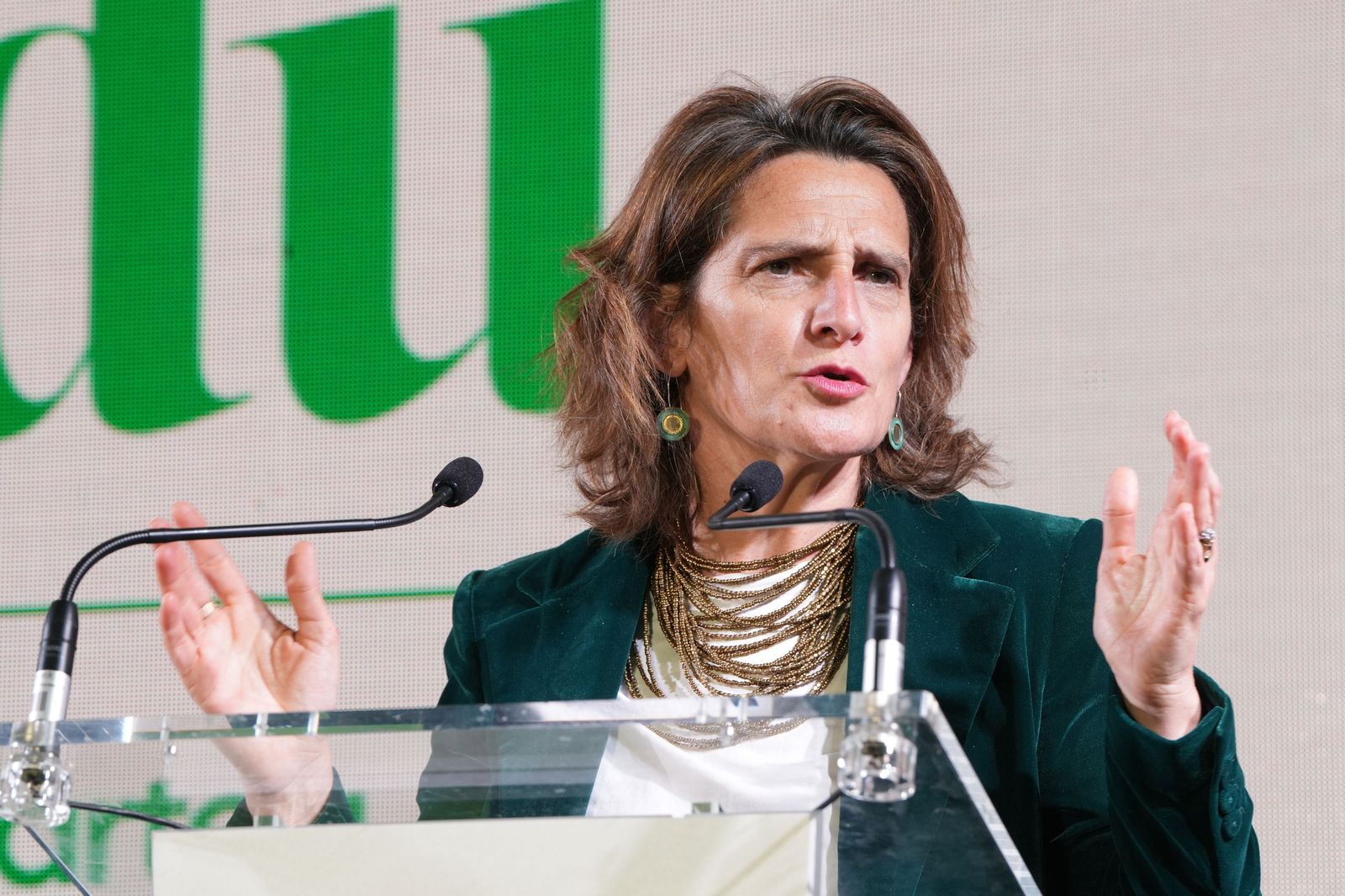 Teresa Ribera, en un acto reciente.