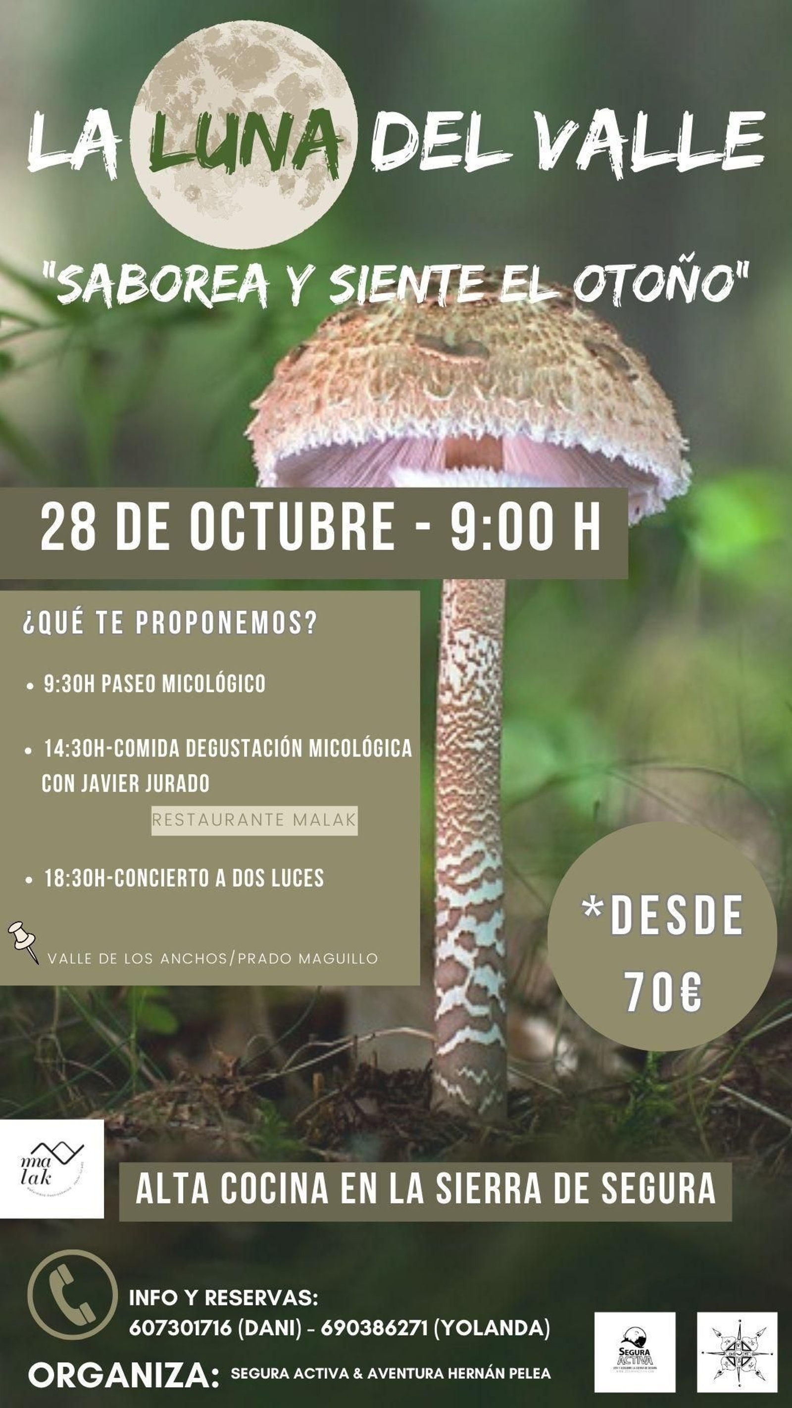 Cartel de la actividad del próximo 28 de octubre titulada 'La luna del Valle'.